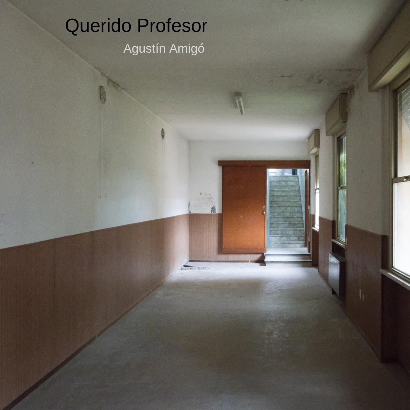 Querido Profesor