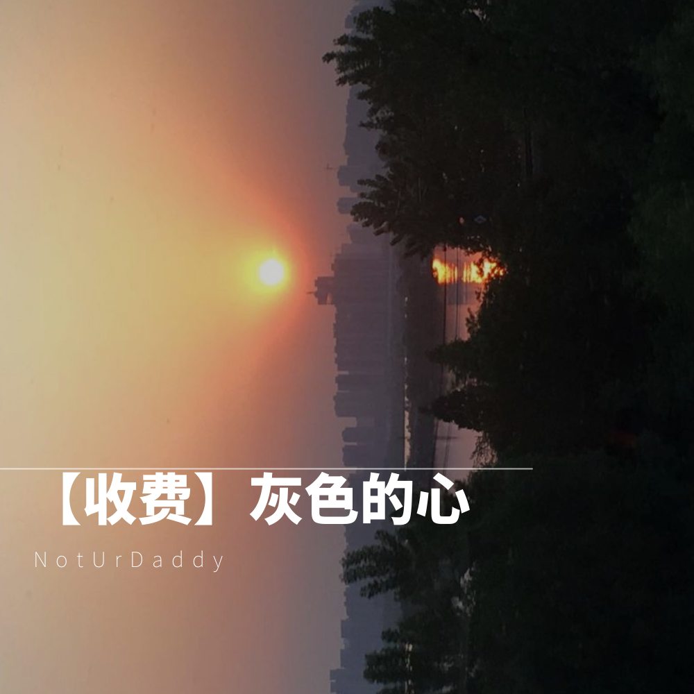 shou fei hui se de xin