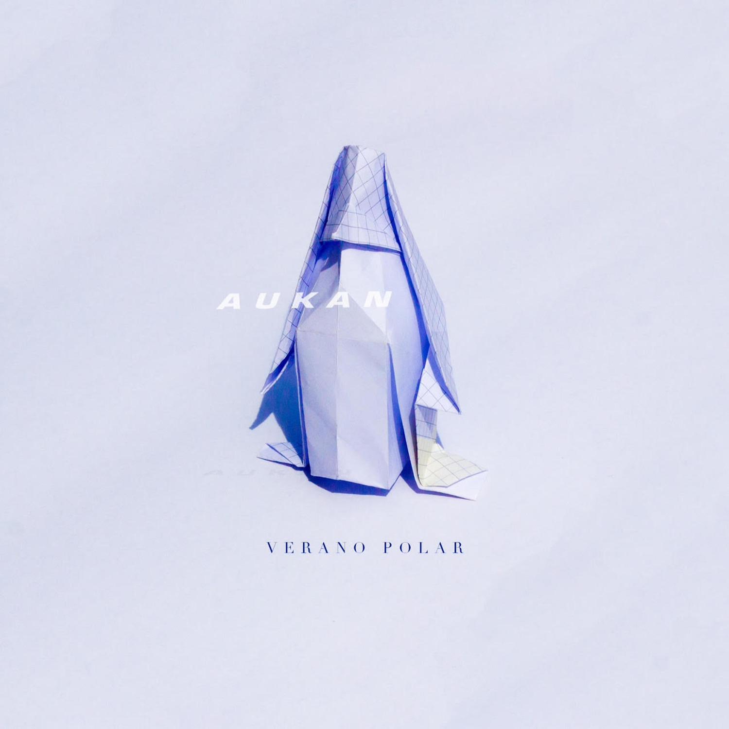 Verano polar
