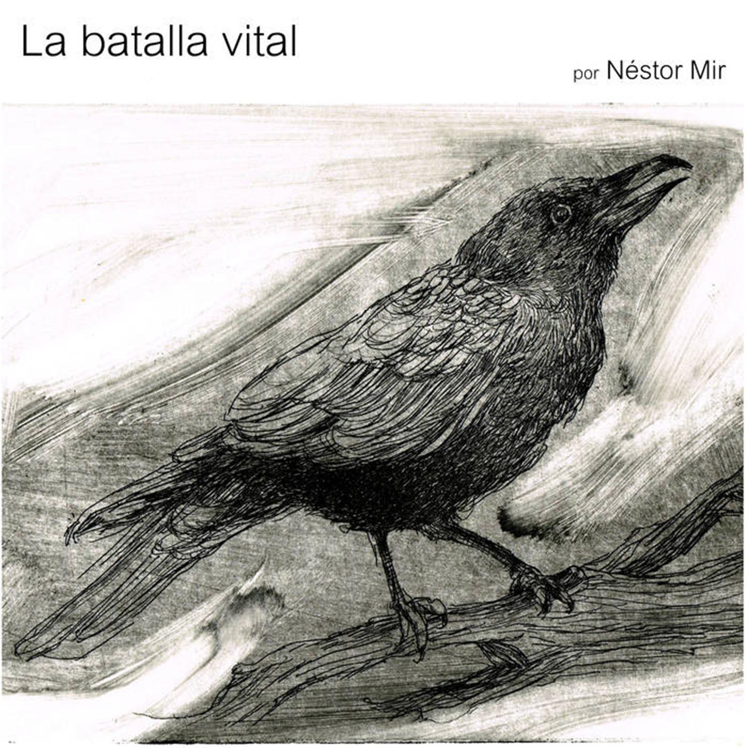 La Batalla Vital (Fisura I)