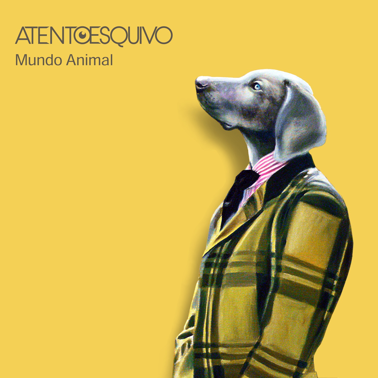 Mundo Animal