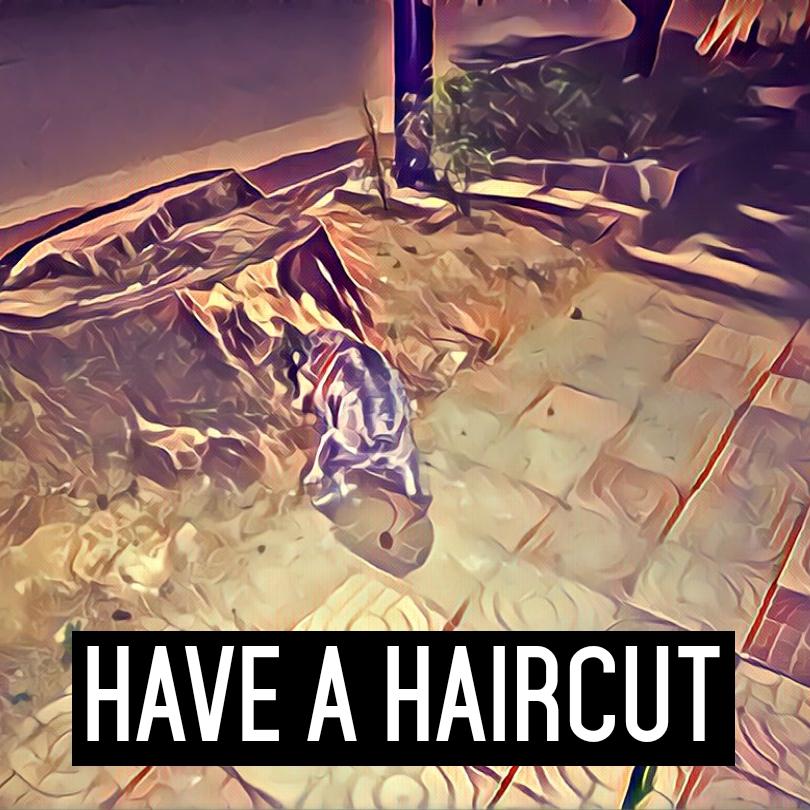 Have a Haircut