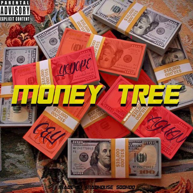 MONEY TREE