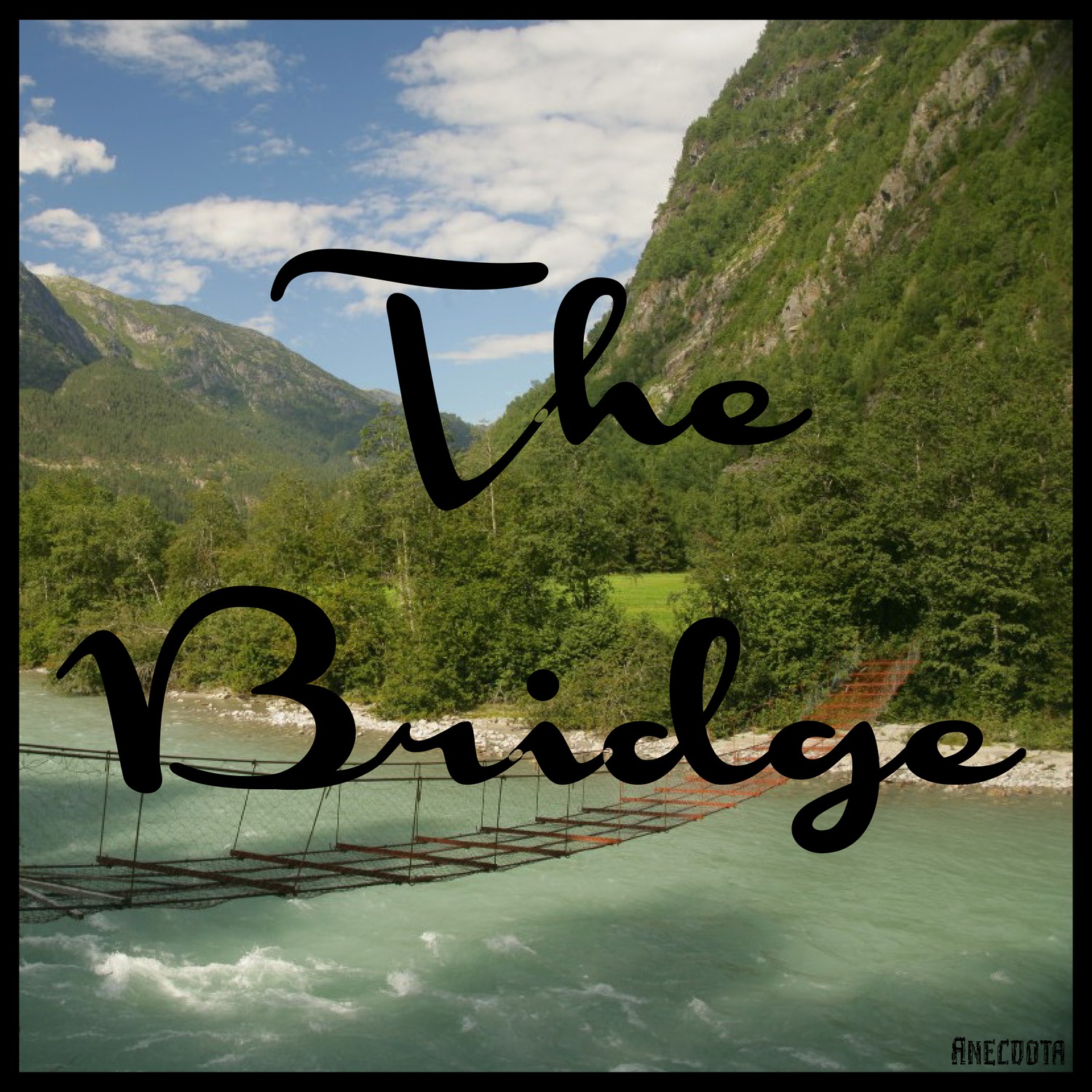 Si fueras un crisantemo