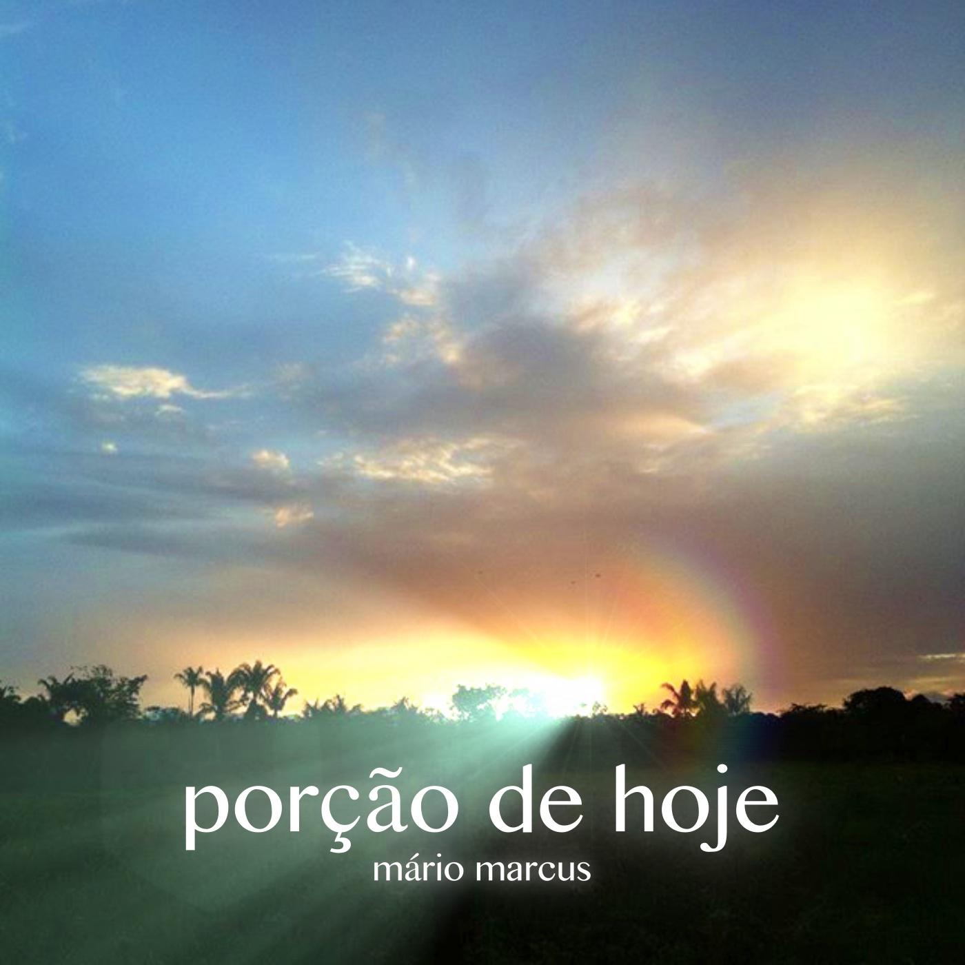 Unreal Erections /// Severed Heads