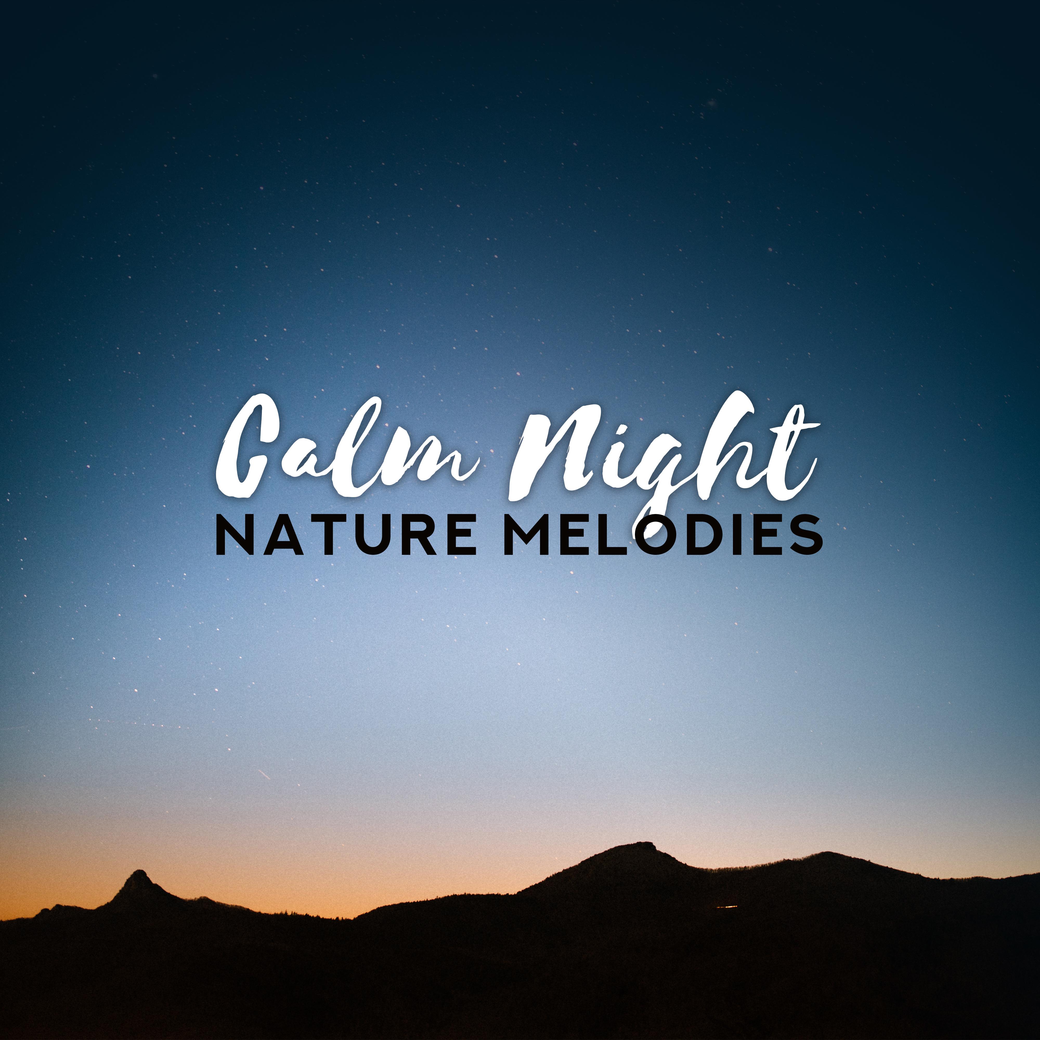 Calm Night Nature Melodies  New Age Soft Music for a Good Sleep  Full Relax After Word Day