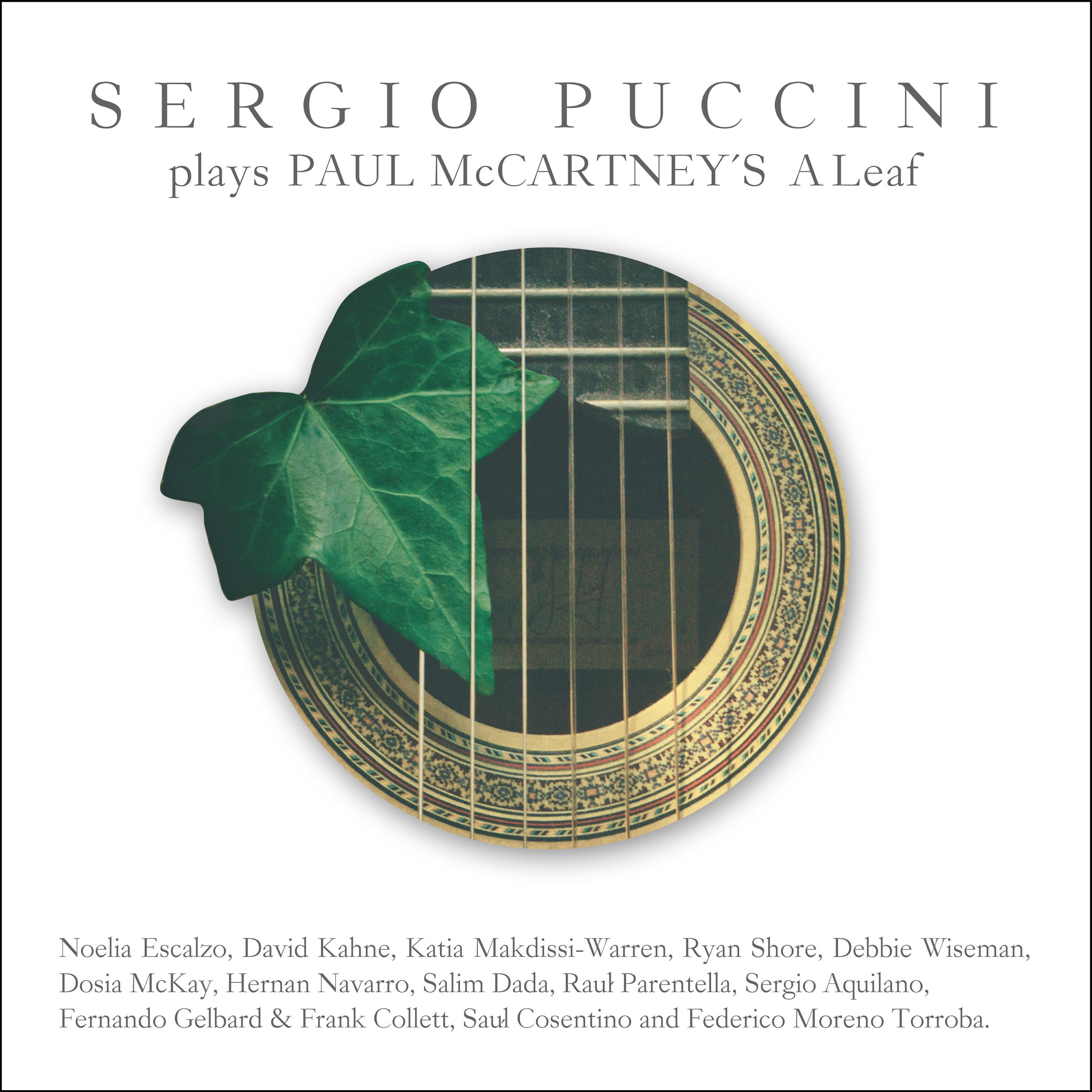 Sergio Puccini Plays Paul McCartney s a Leaf
