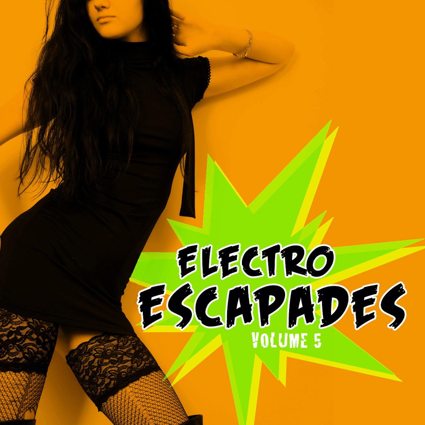 Electro Escapades, Vol. 5
