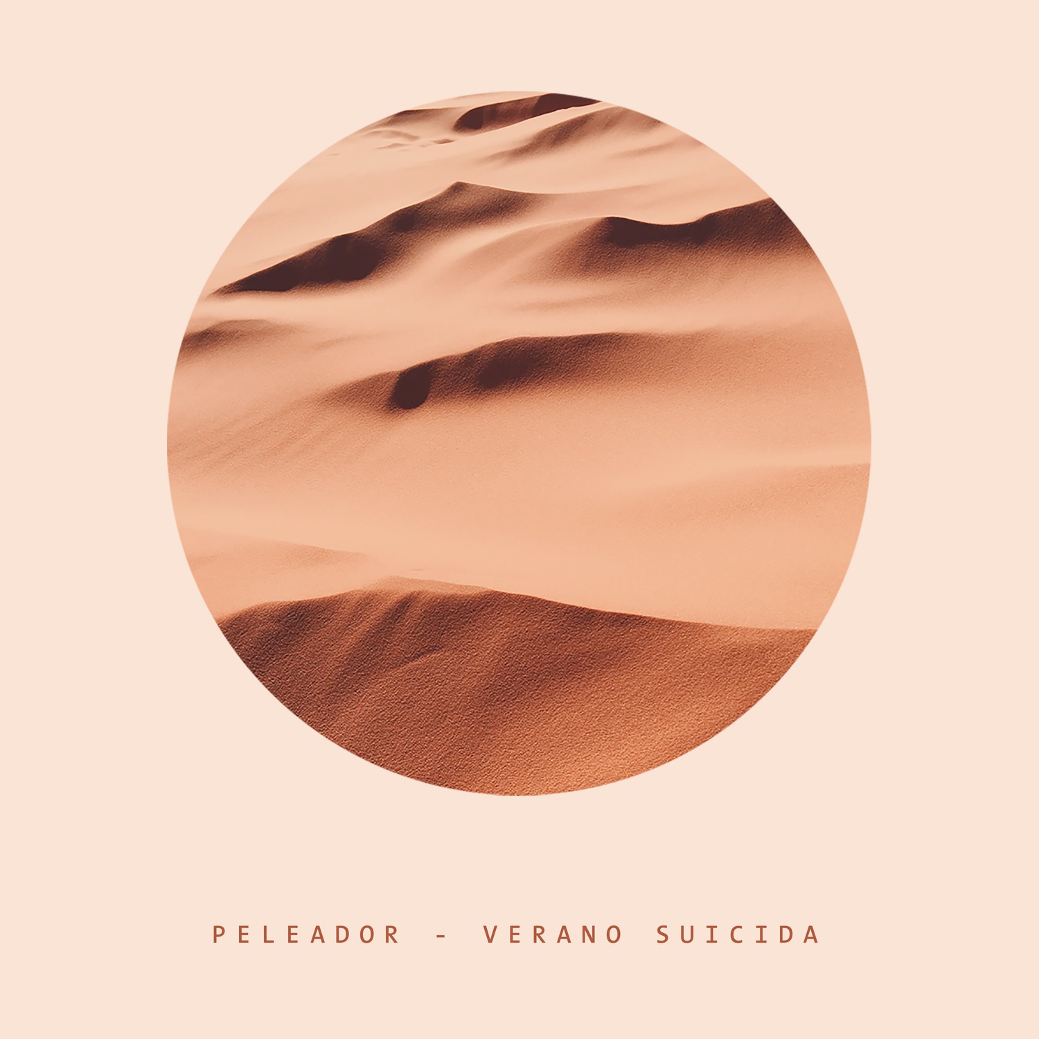 I Don't Like Your Gang