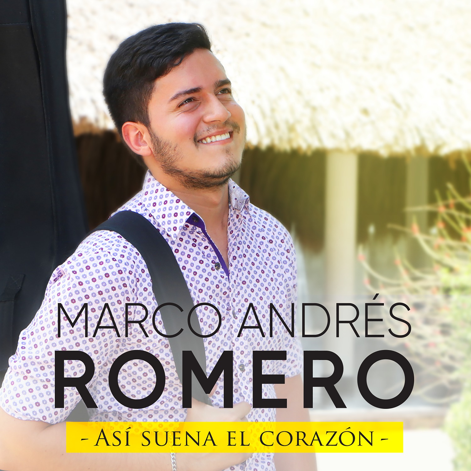 Give Me Everything - Single