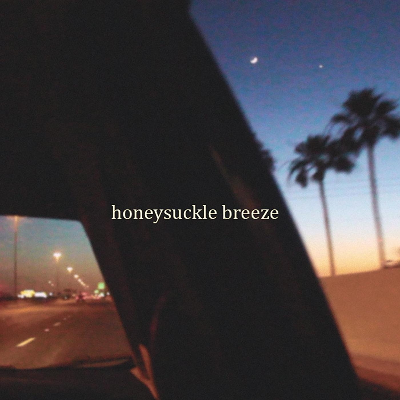 La Cumbia Cienaguera