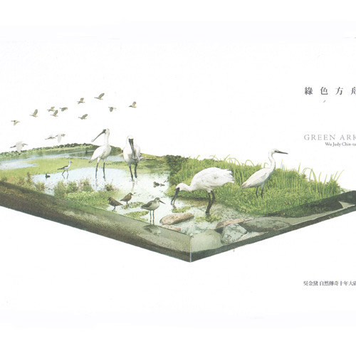 jin huang se ning jing