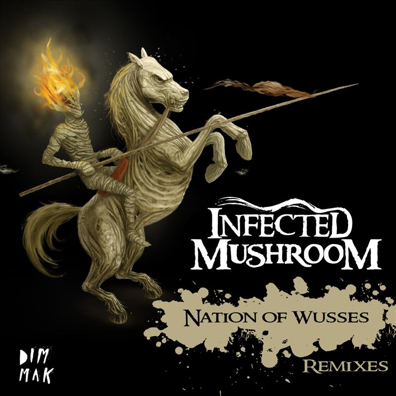 Nation of Wusses (Stereoheroes Remix)
