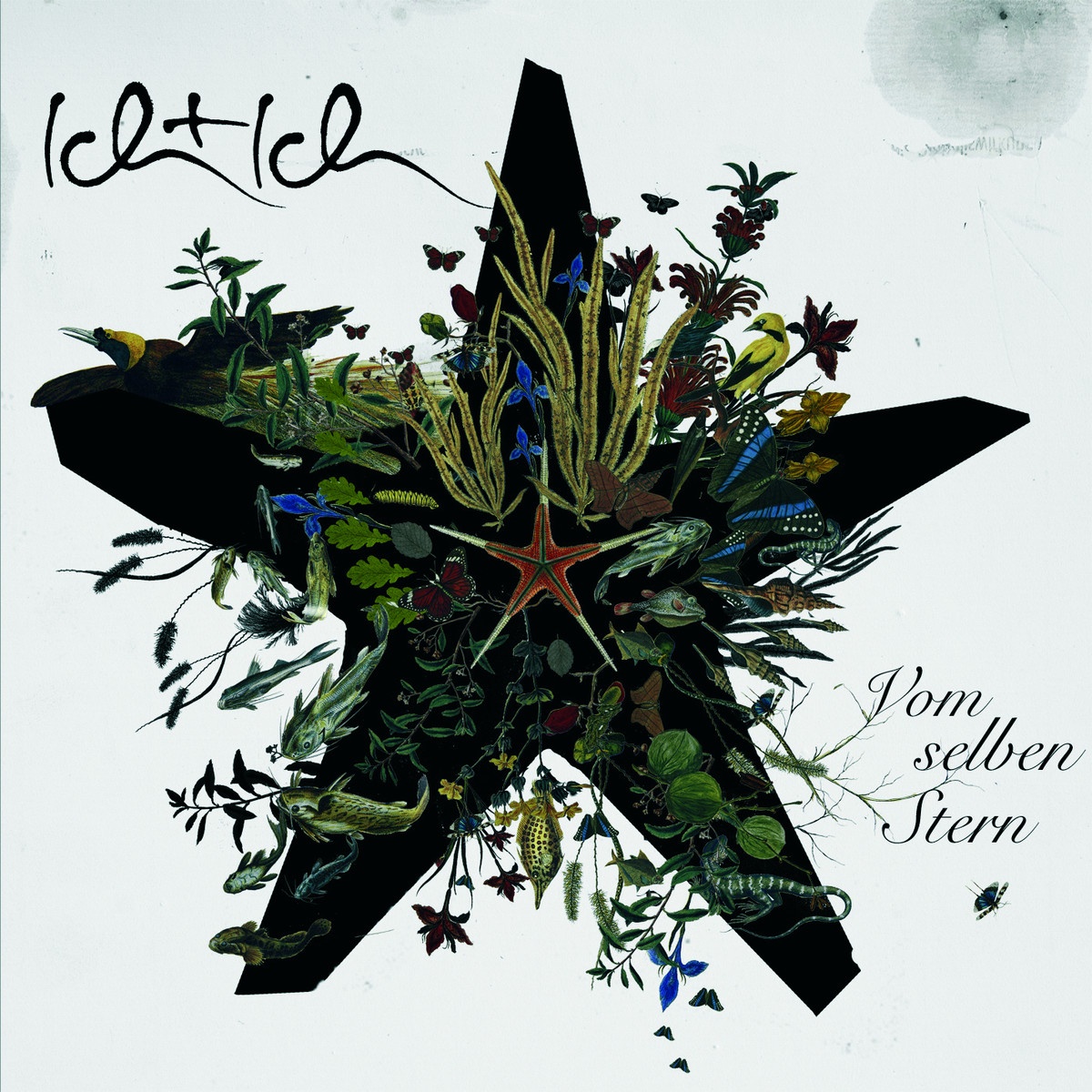 Nichts bringt mich runter - Single Edit