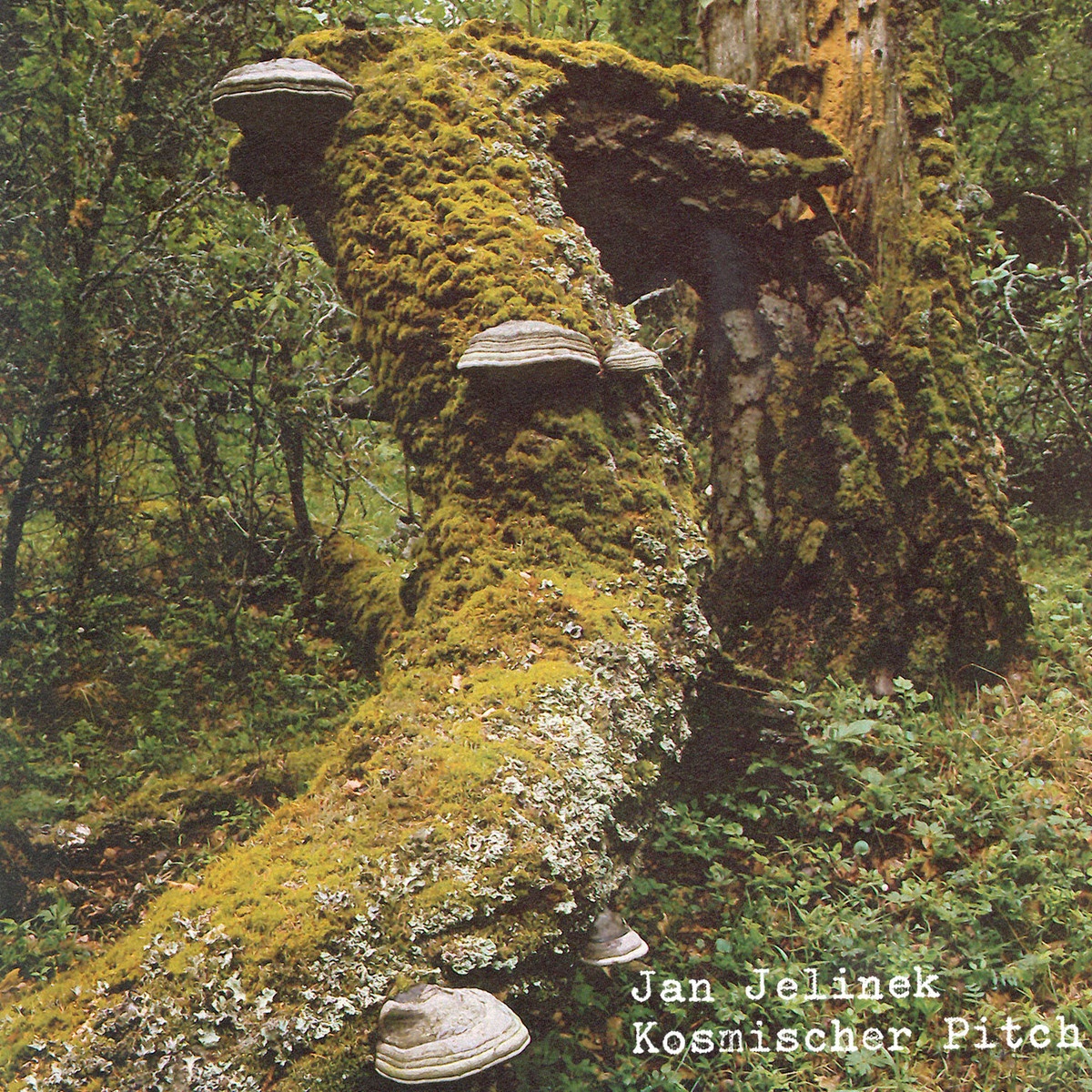 Universal Band Silhouette