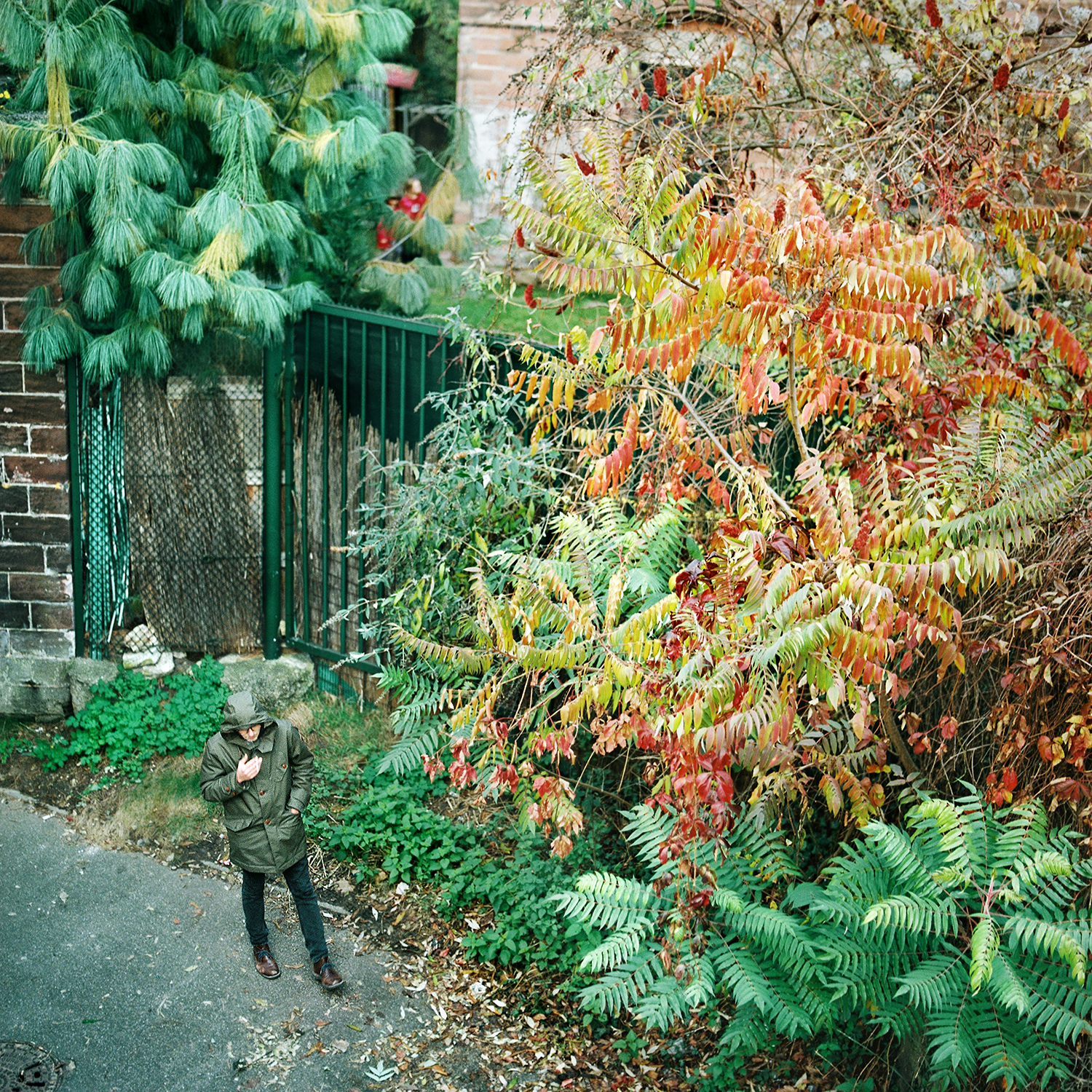 The Essence of Things