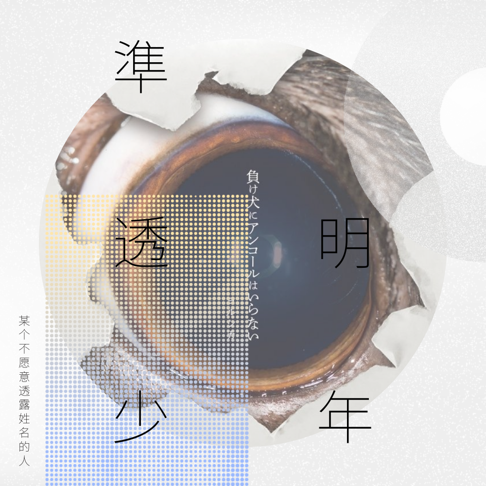 zhun tou ming shao nian