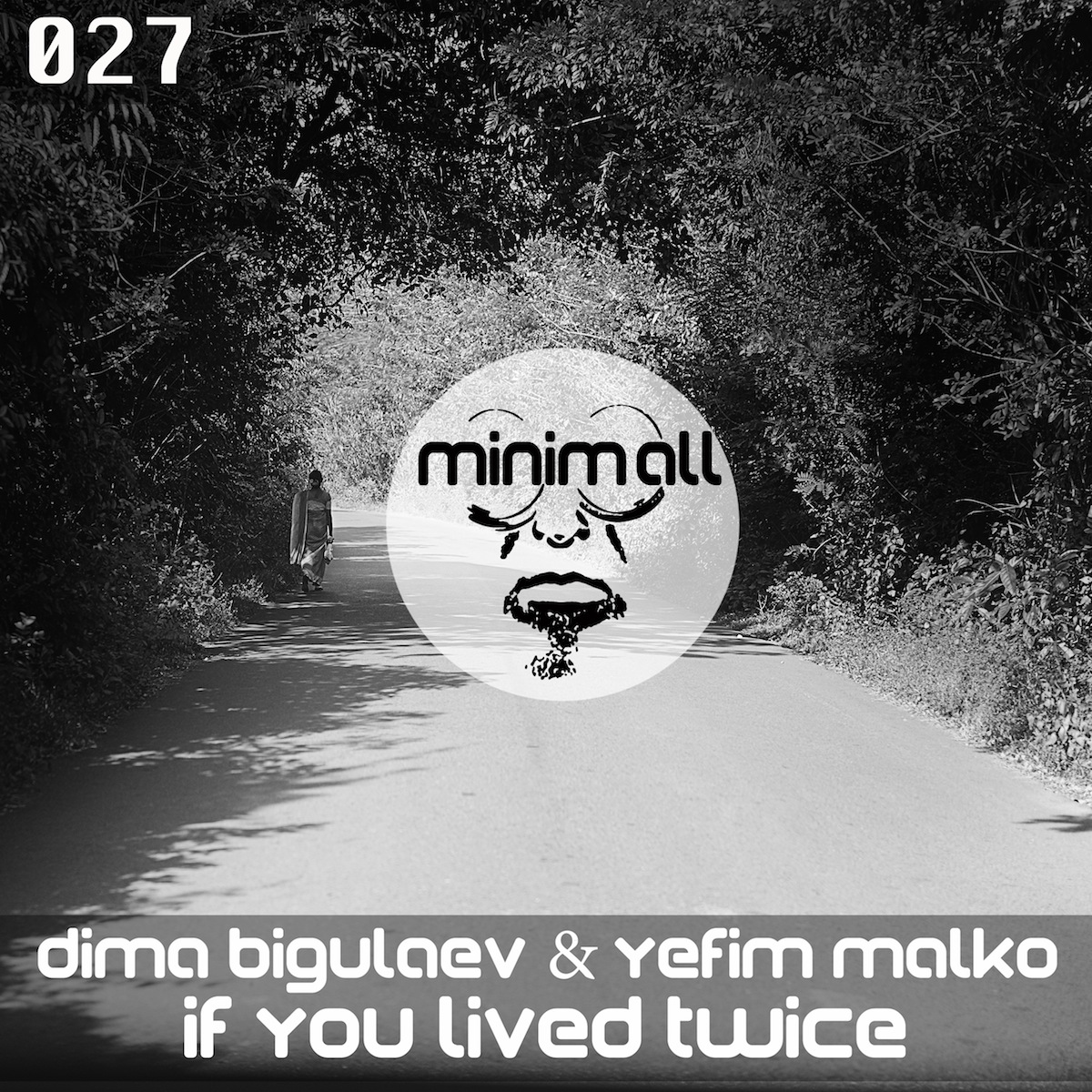 The Hedgehog Small Runs on a Wood Path