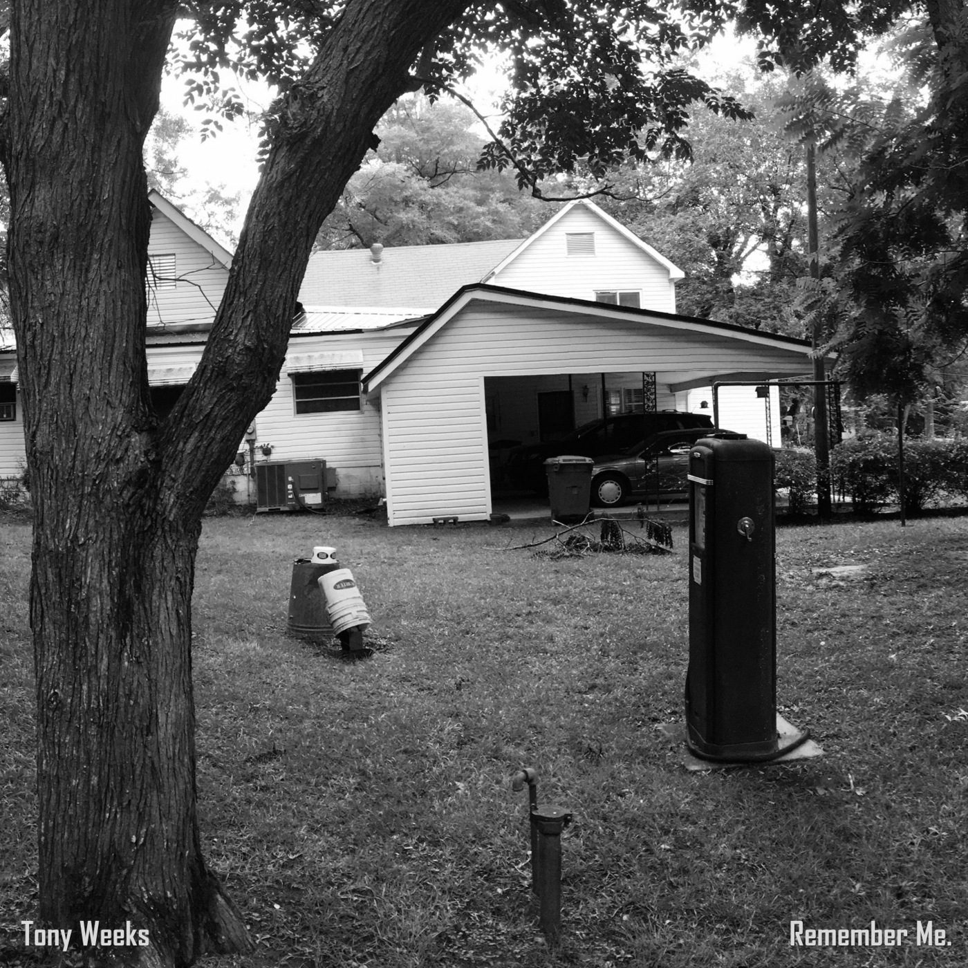 An Introduction to Anne Briggs