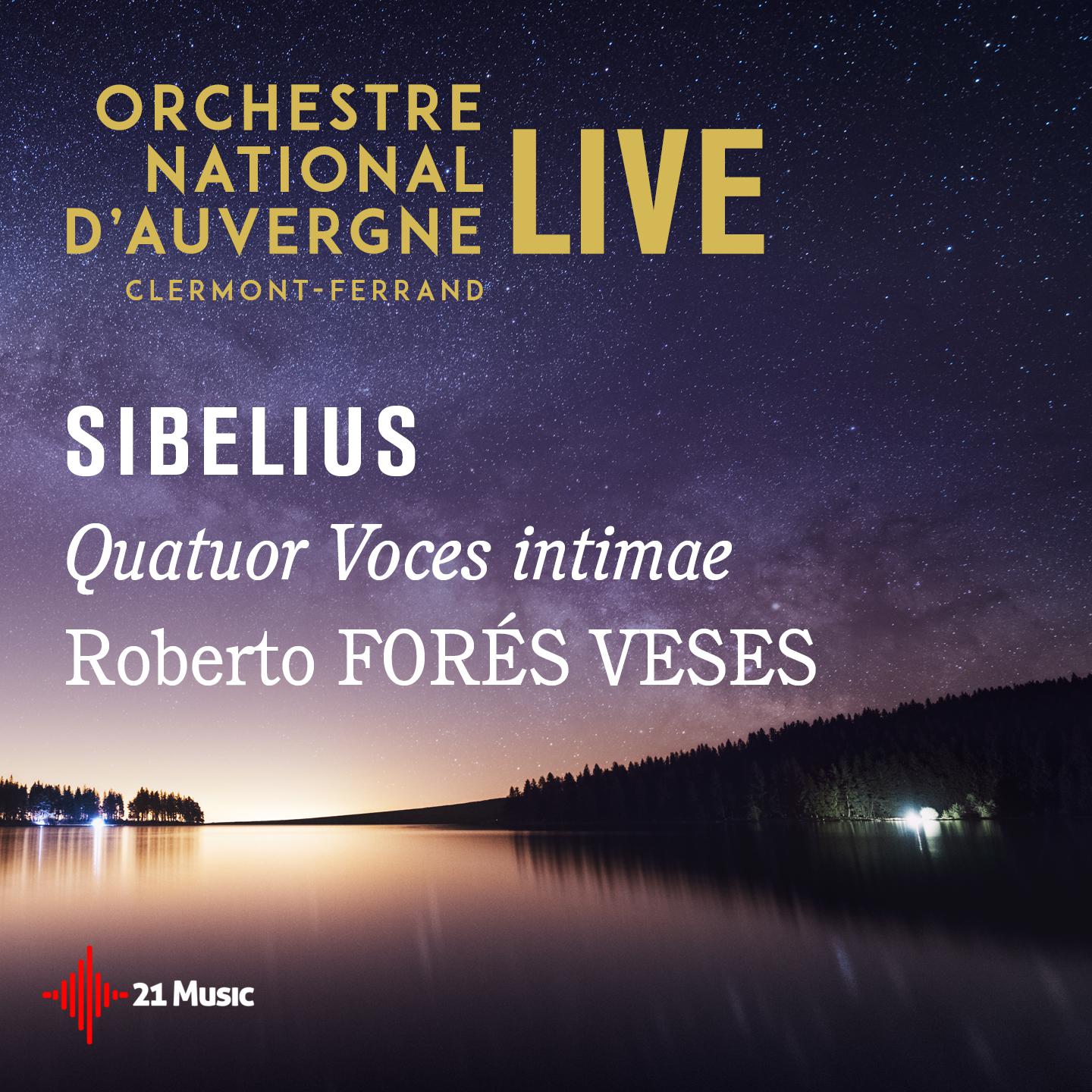 String Quartet Voces intimae in D Minor, Op. 56:II. Vivace