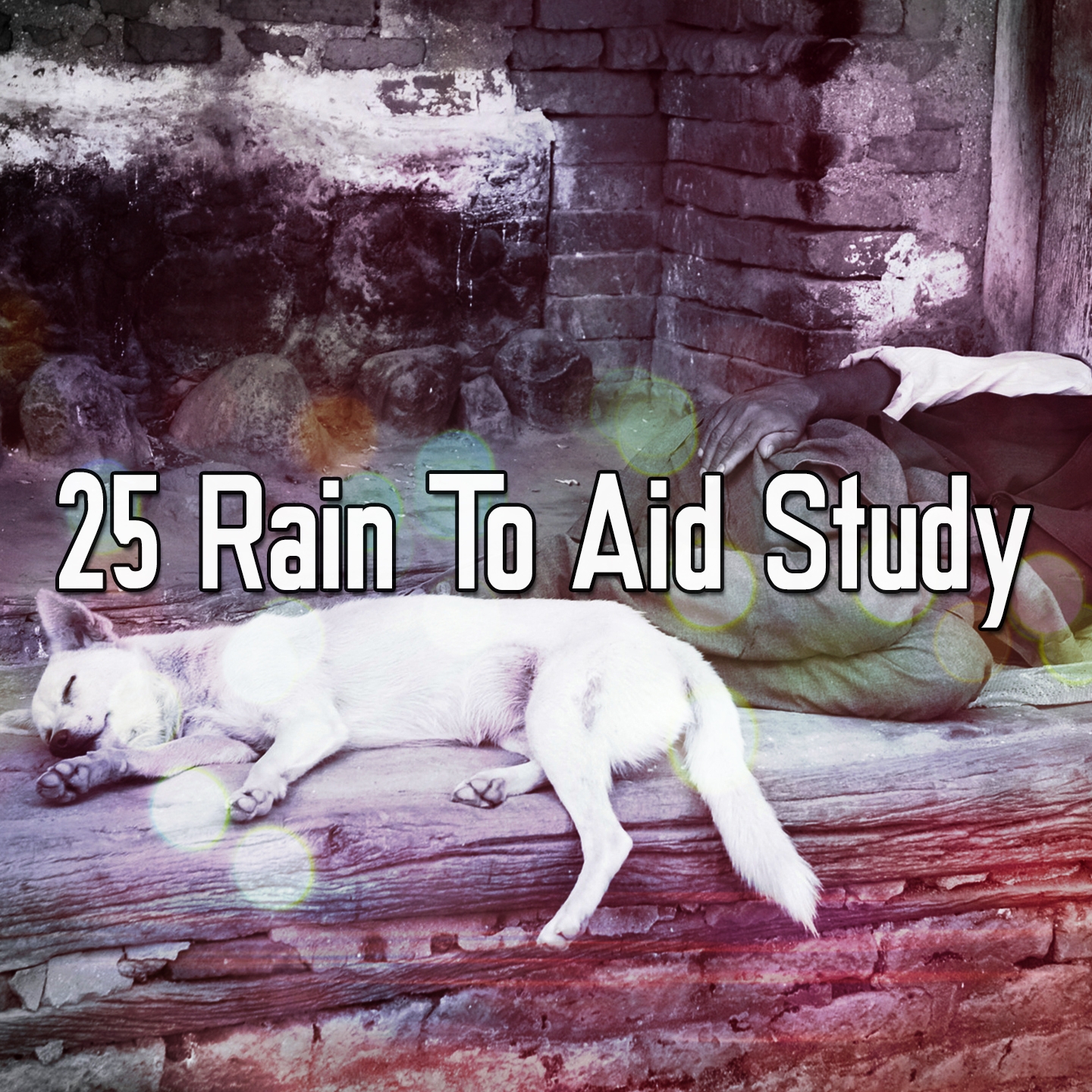 25 Rain to Aid Study