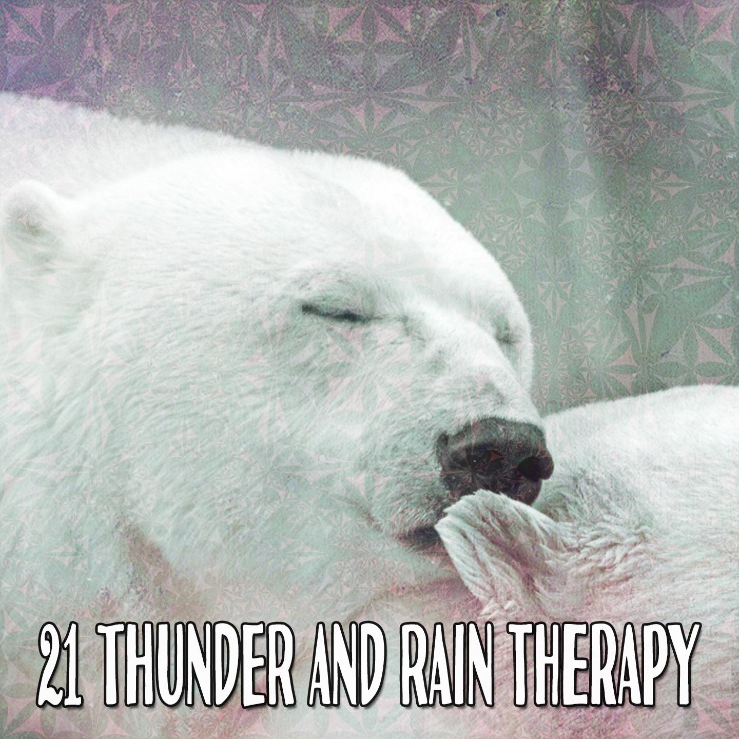 21 Thunder and Rain Therapy