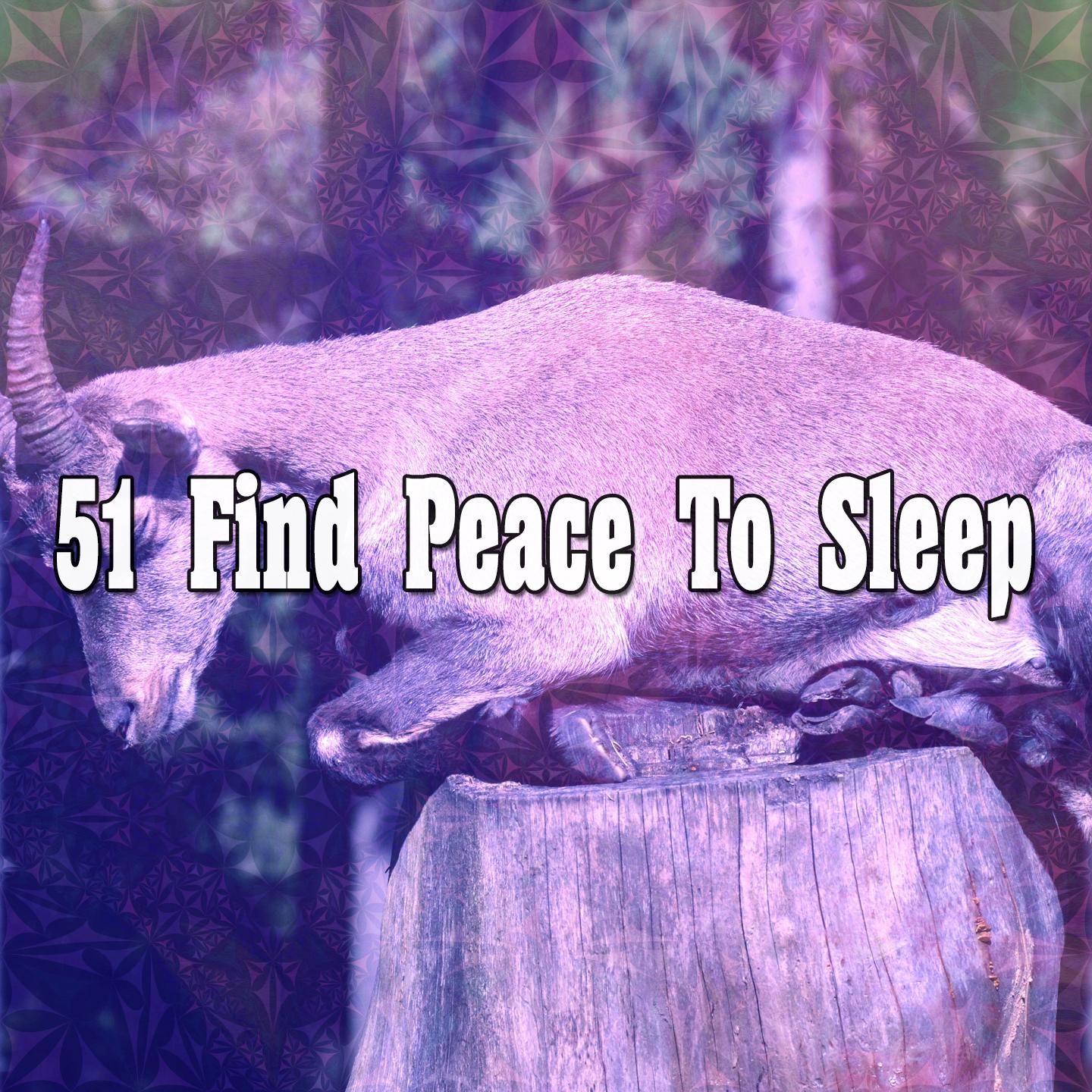 51 Find Peace to Sleep