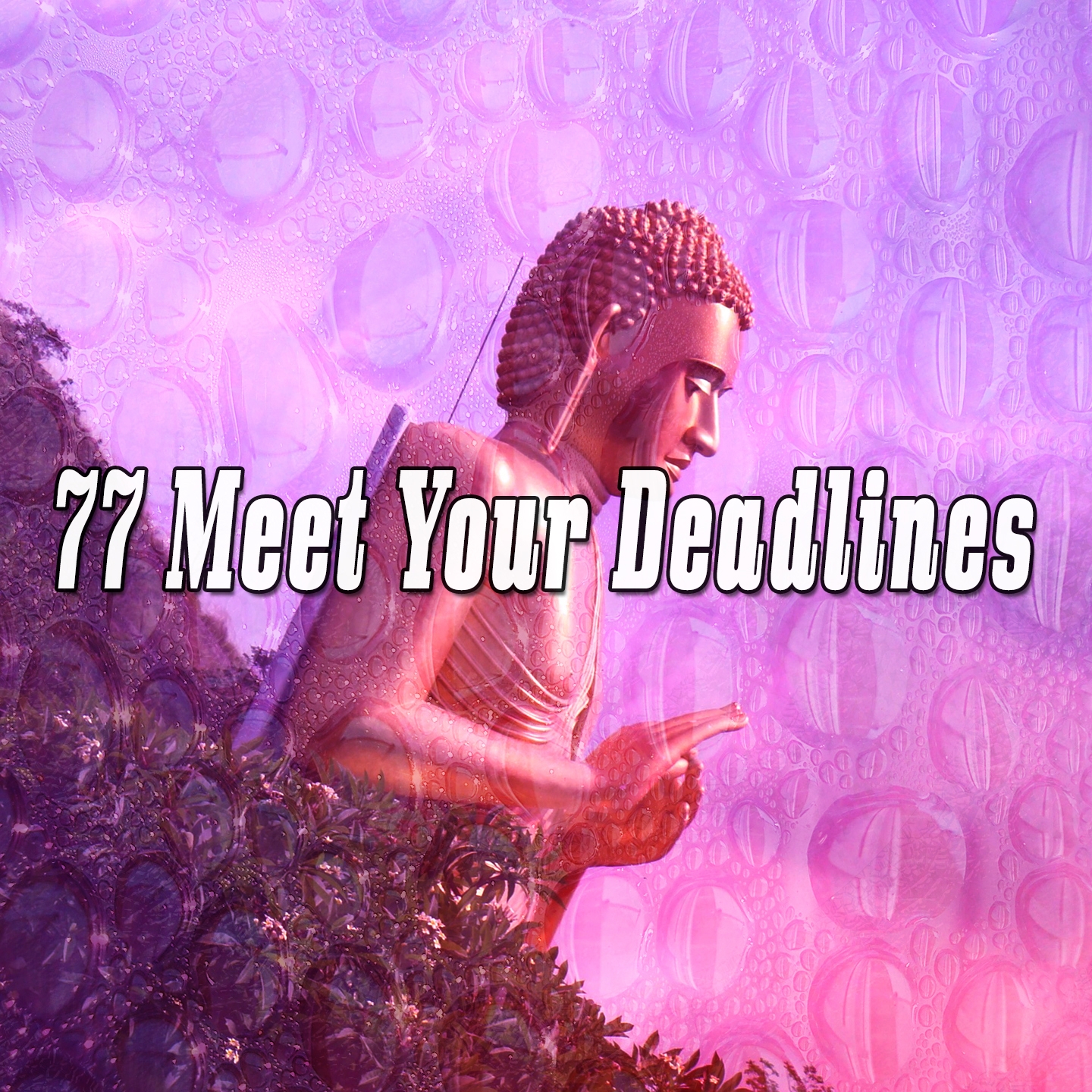 77 Meet Your Deadlines