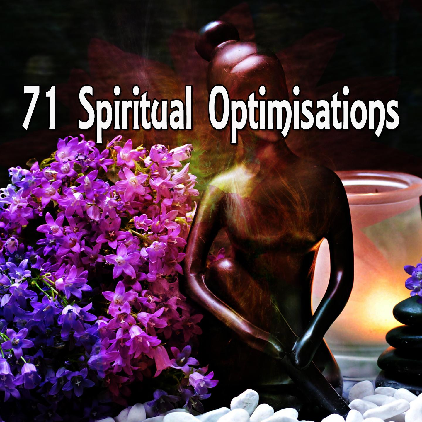 71 Spiritual Optimisations