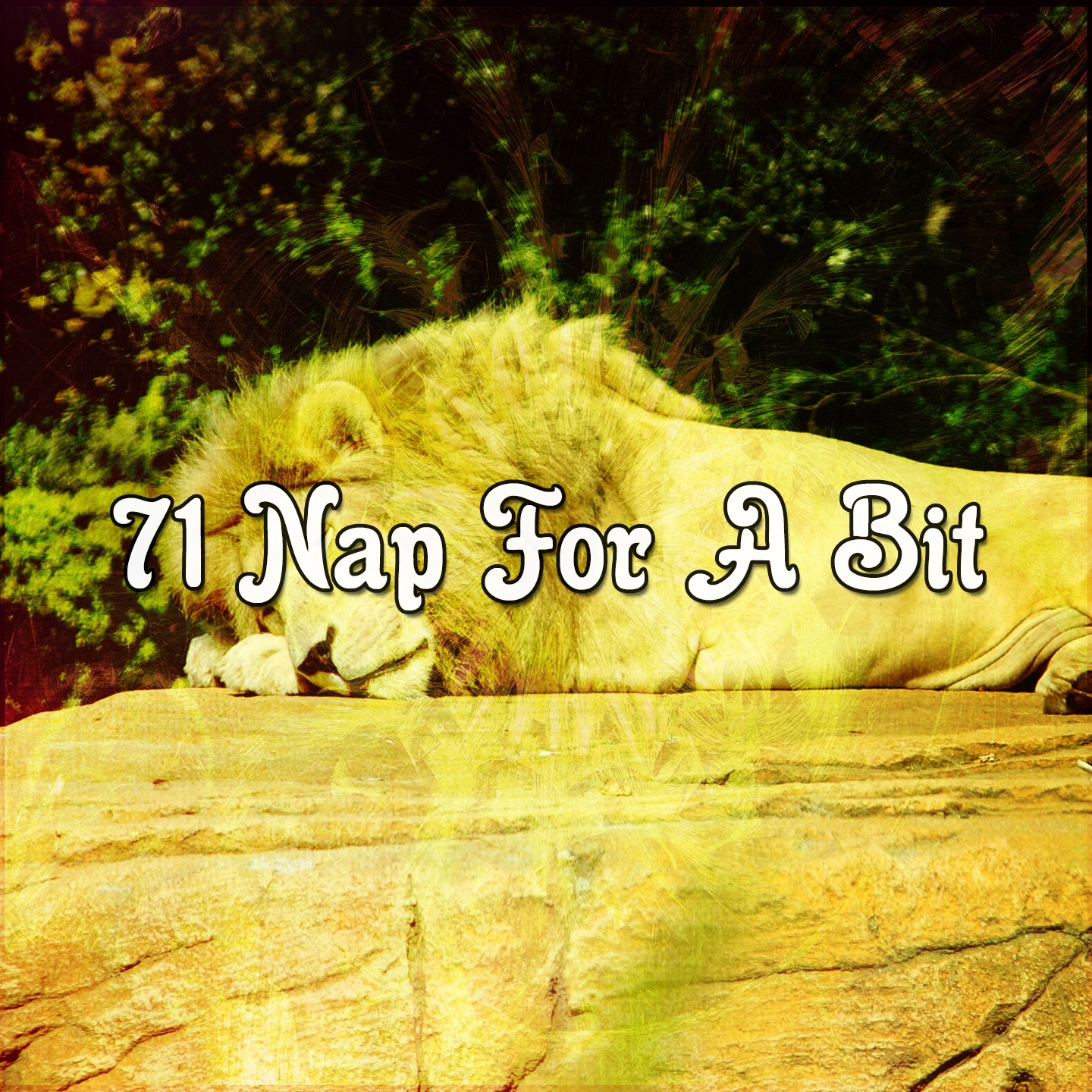 71 Nap For A Bit