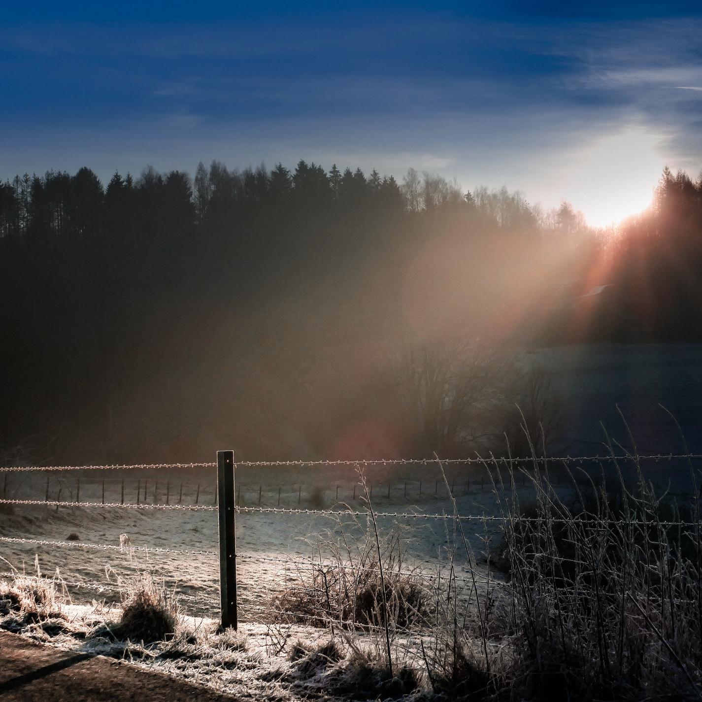 Feeling Better with the Voice of a Piano