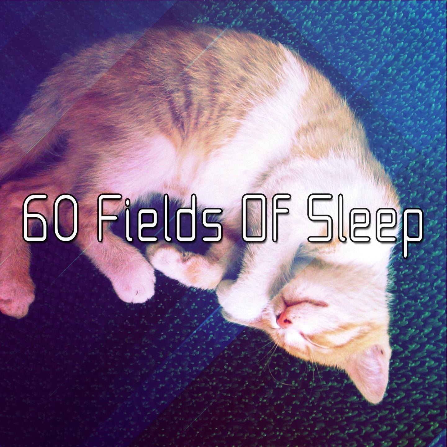 60 Fields Of Sleep