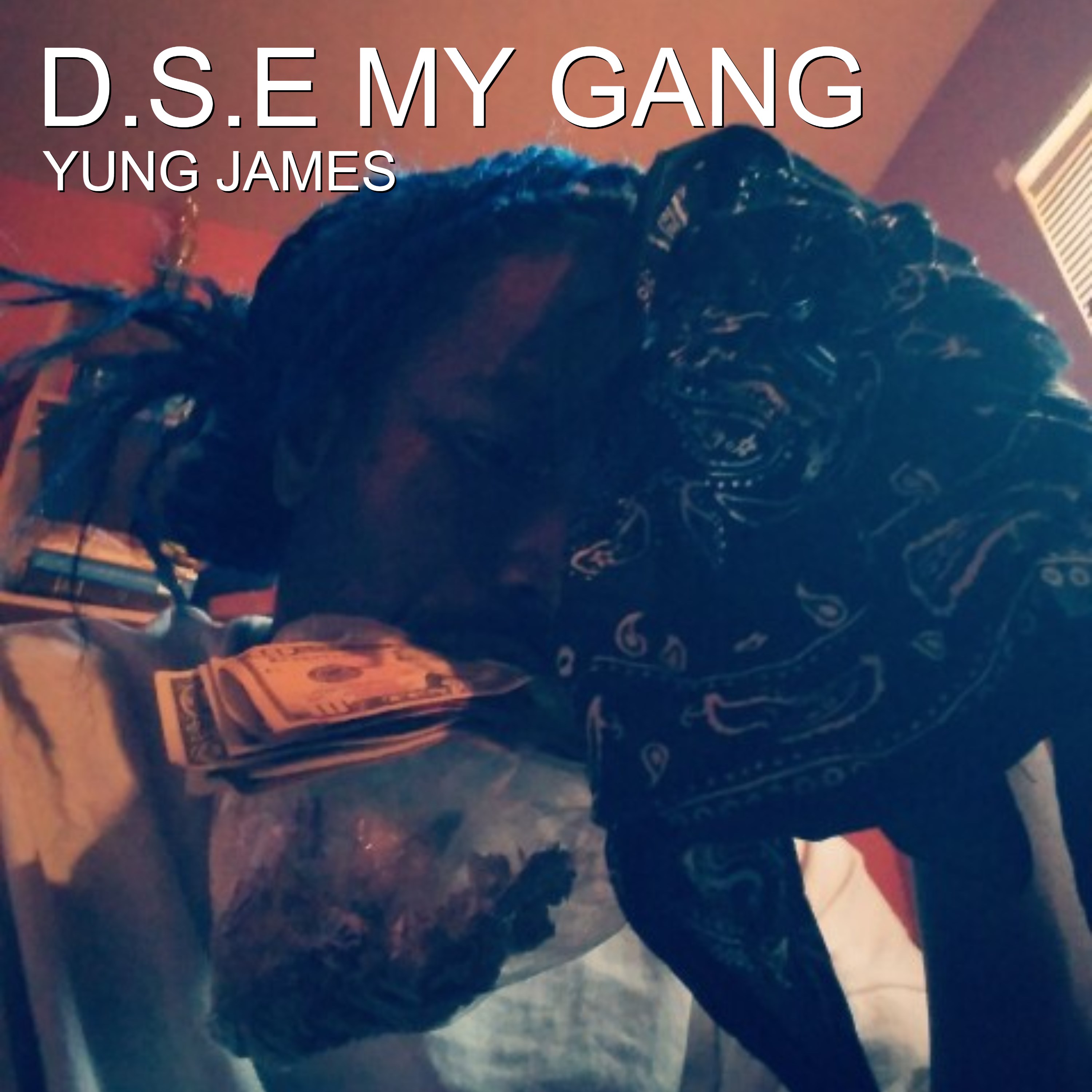 D.S.E My Gang