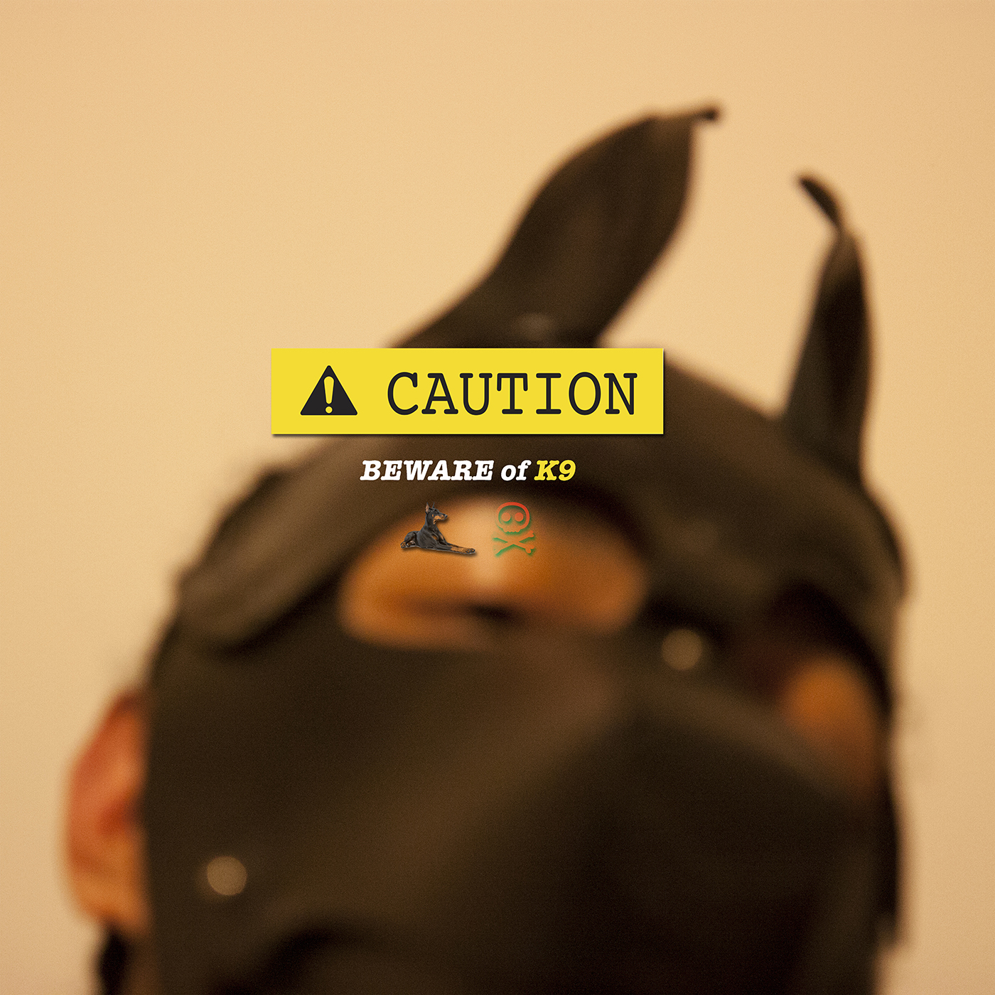 Caution: Beware of K9