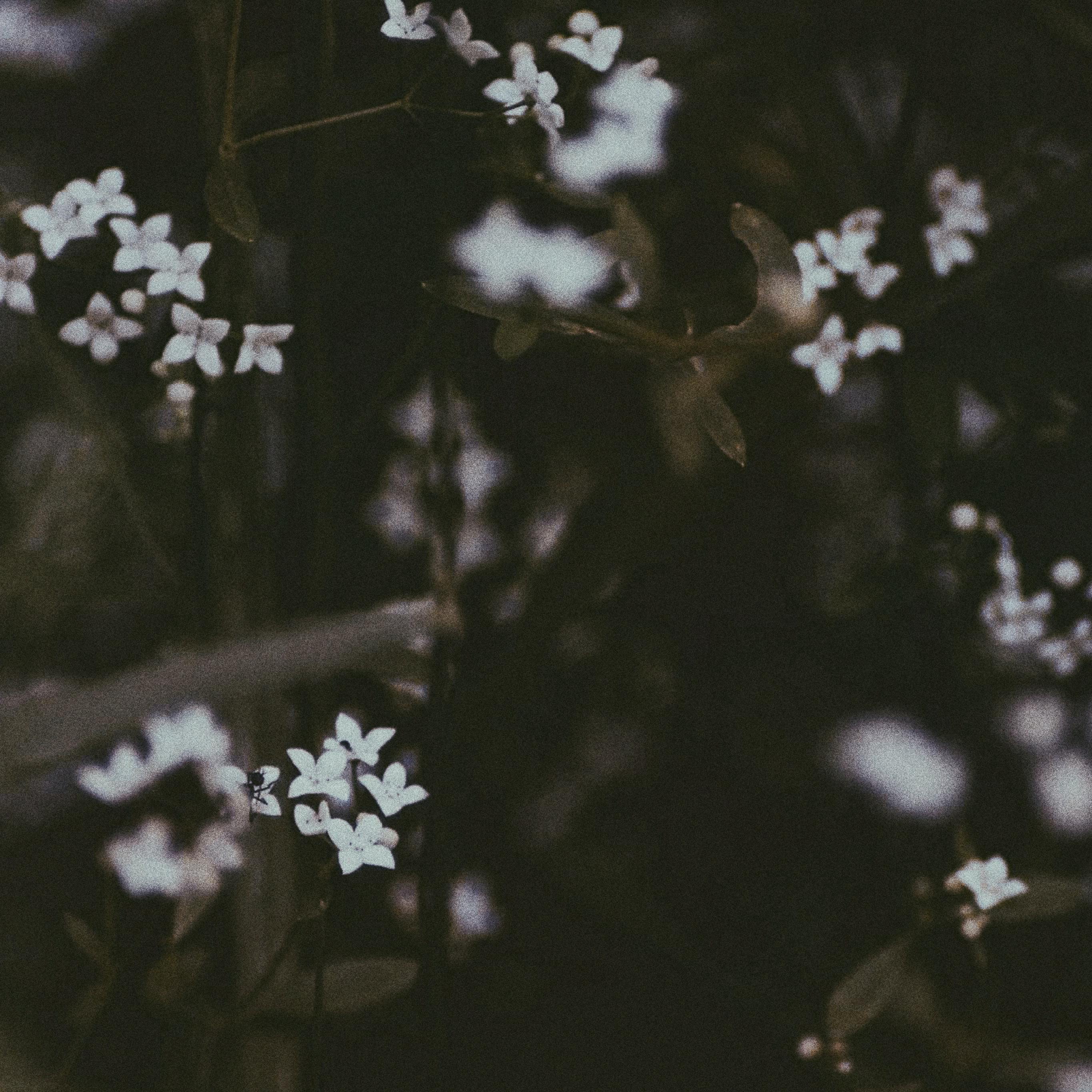 dang shi jie cong kong zhong die luo