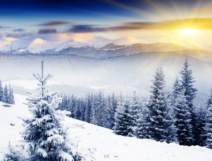 zhen ye lin de huan xiang