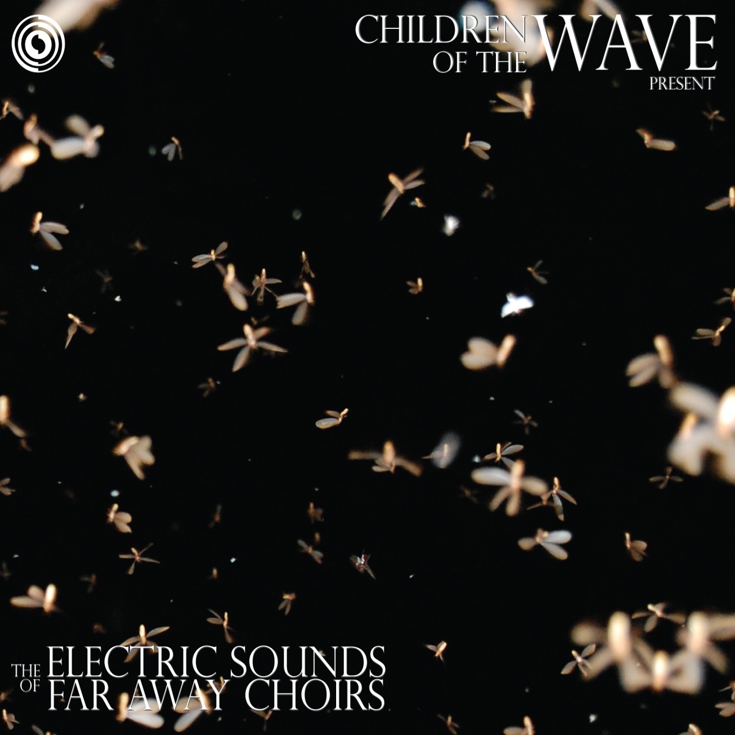 Half a Million Light Years That Way