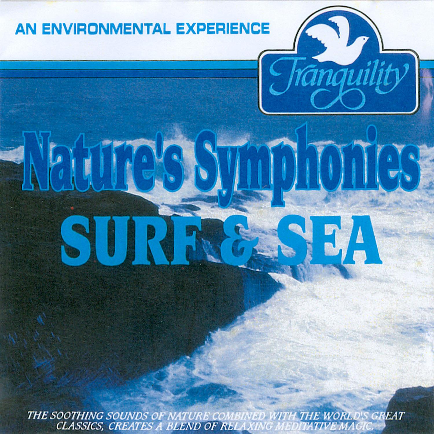 "Surprise" Symphony #94, 2nd Movement