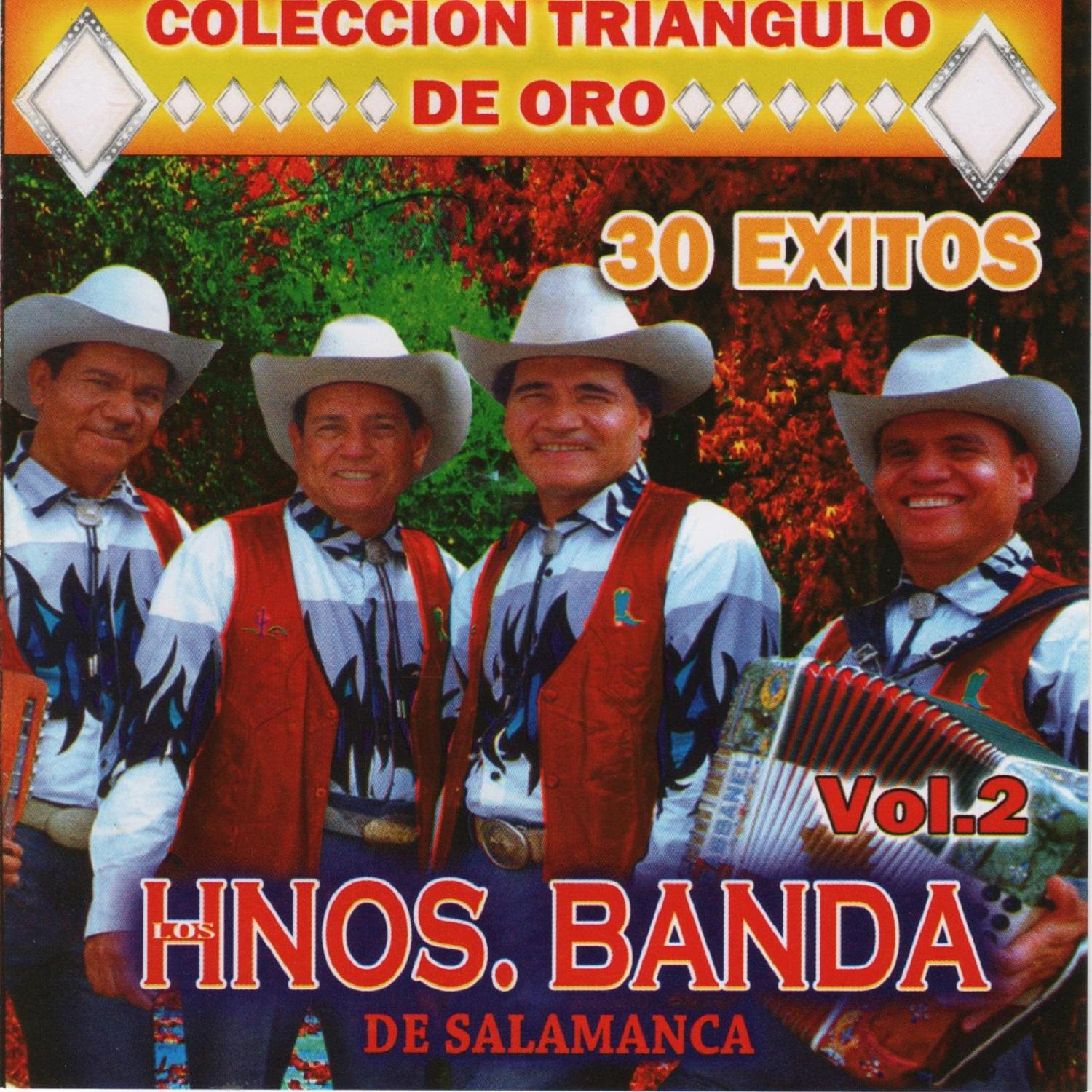 30 Exitos, Vol. 2