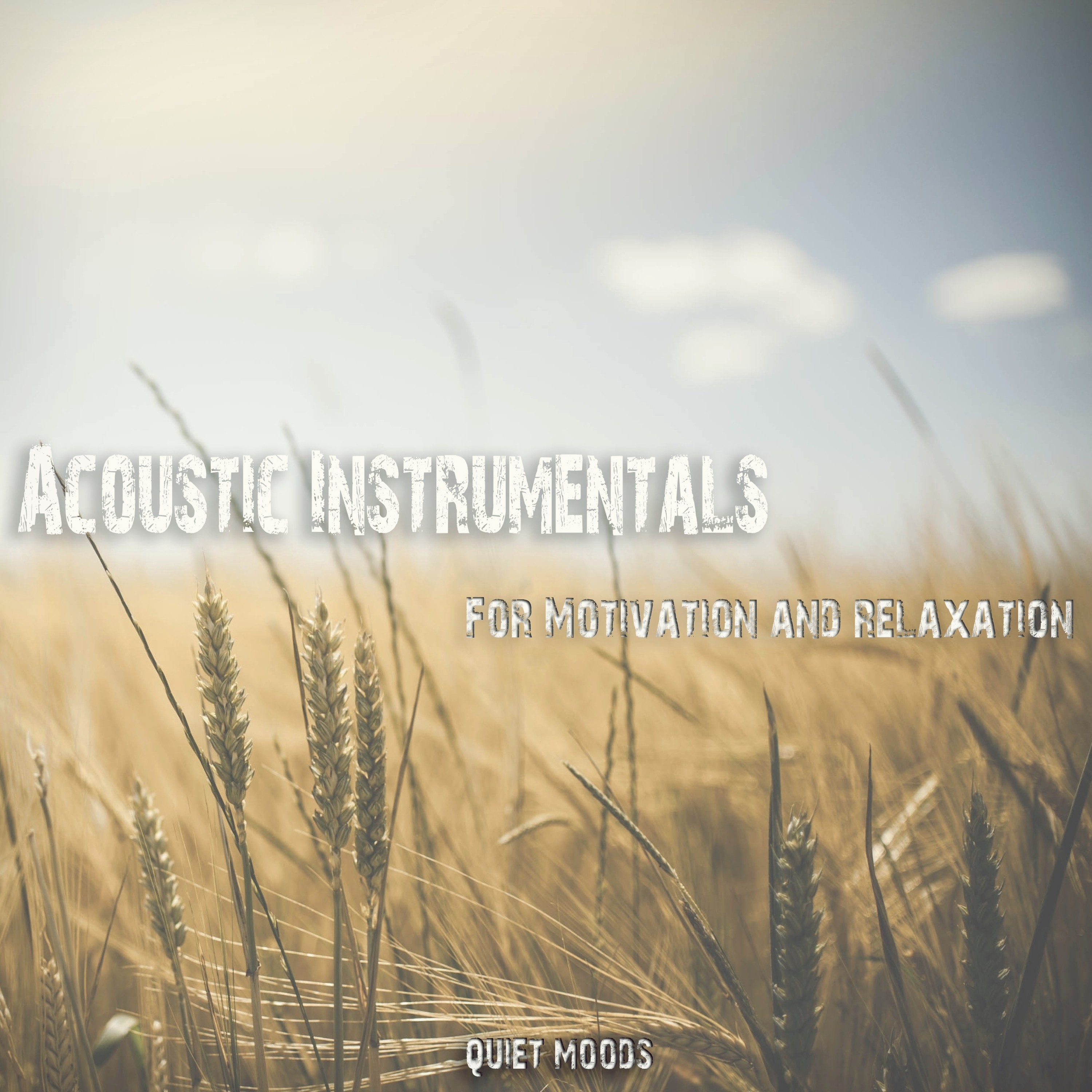 Acoustic Instrumentals (For Motivation and Relaxation)