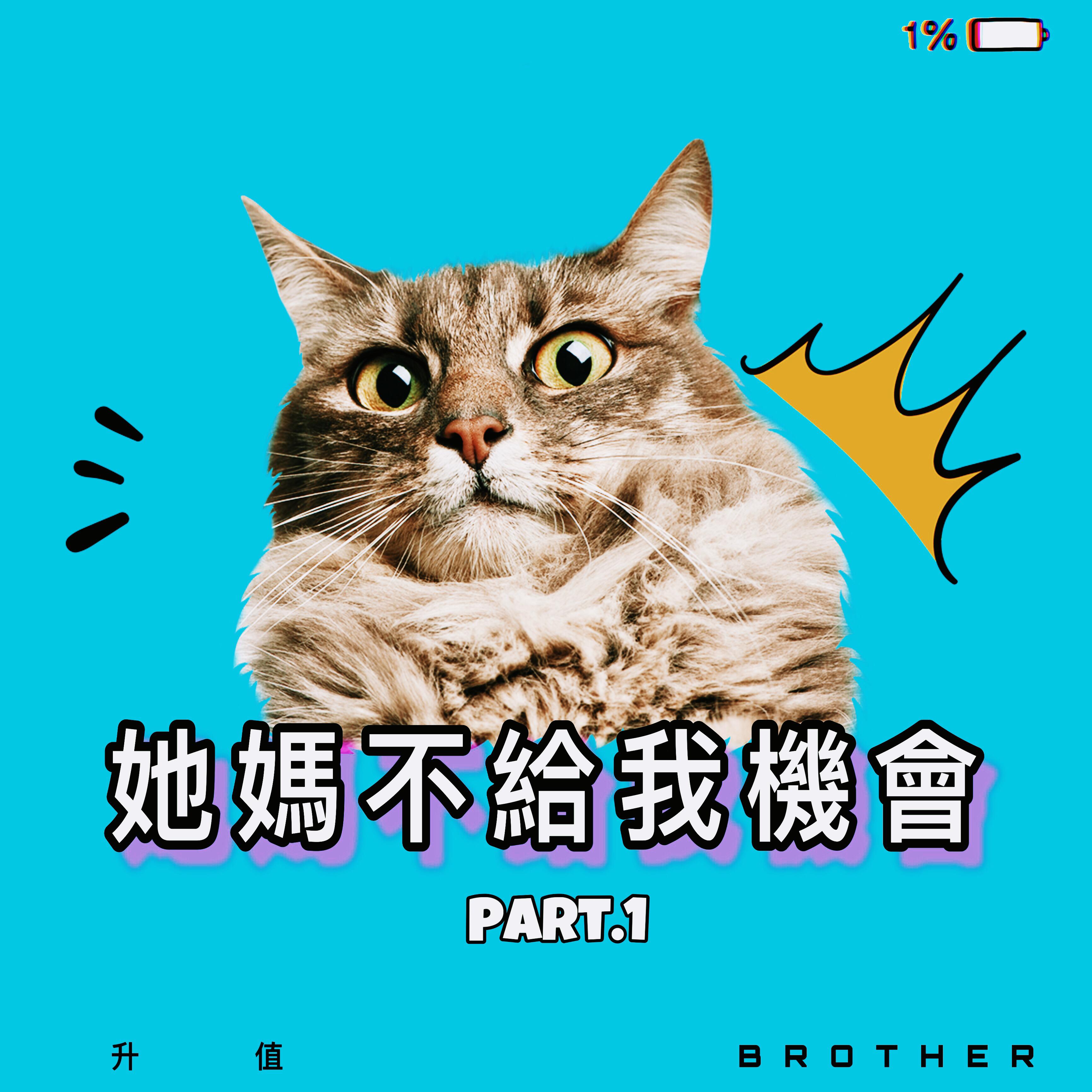 ta ma bu gei wo ji hui