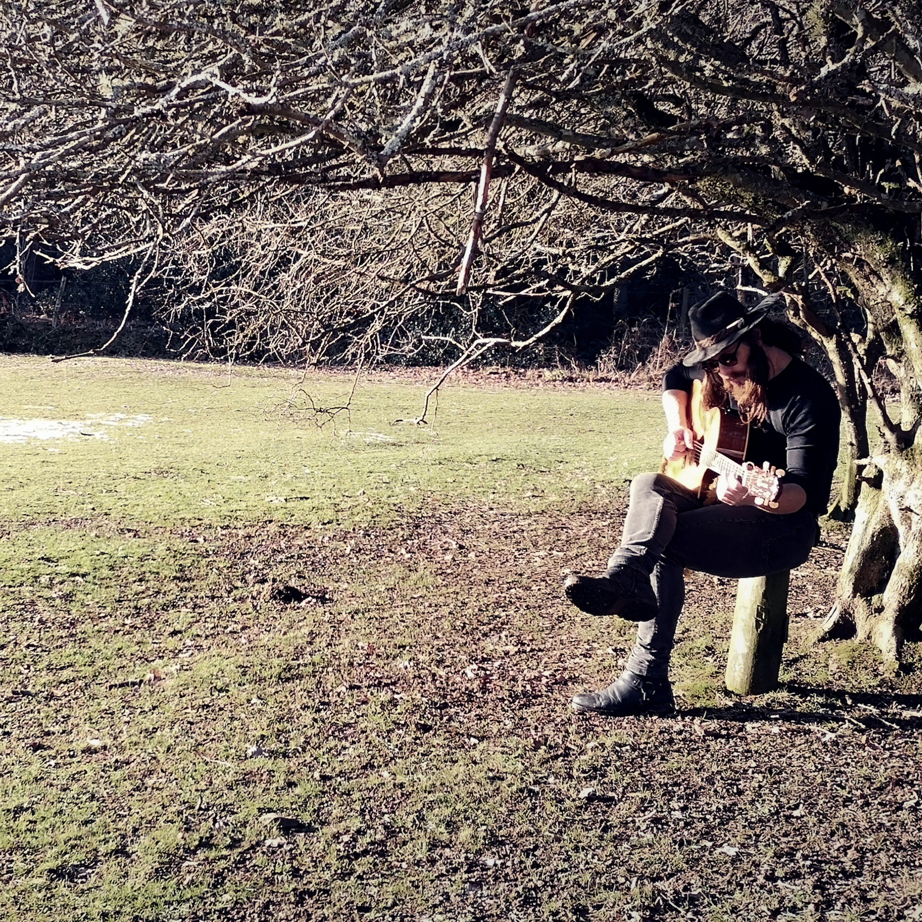 Groove on the Ladybird