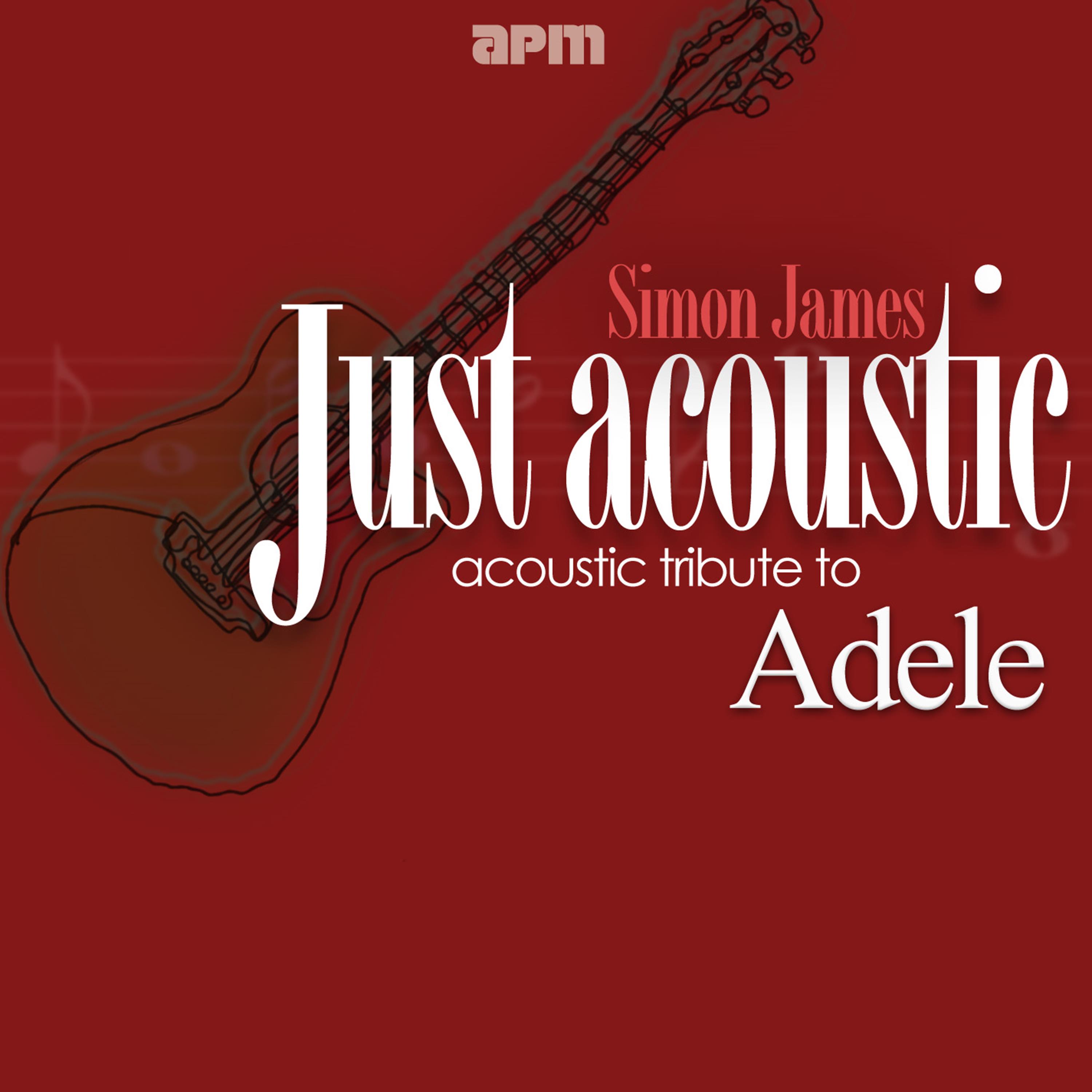 Acoustic Tribute to Adele