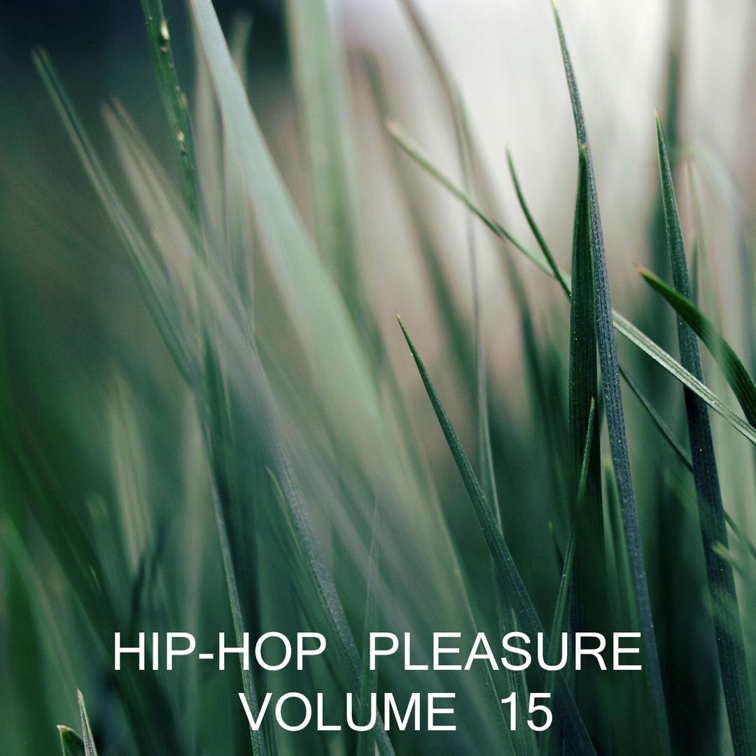 Hip Hop Pleasure, Vol.15
