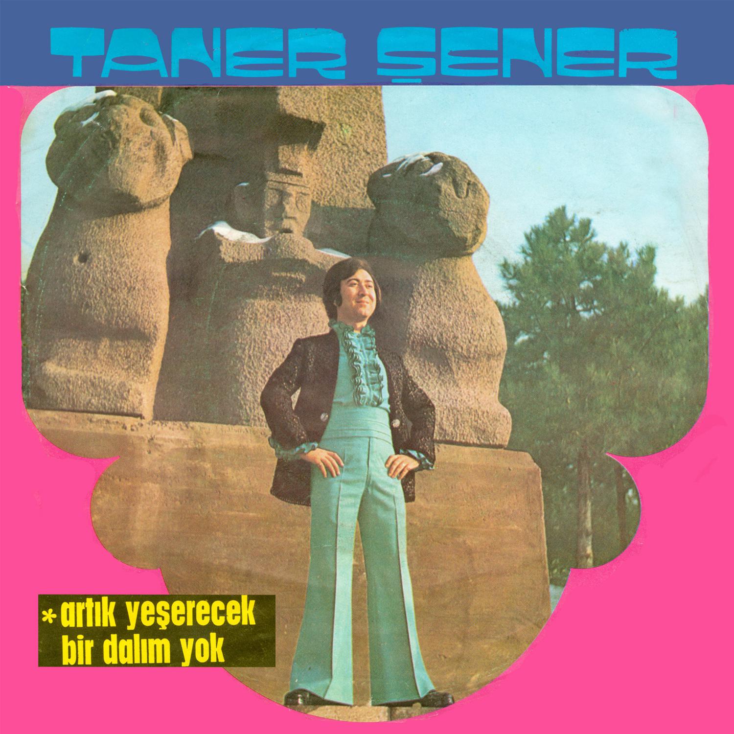 Art k Ye erecek Bir Dal m Yok