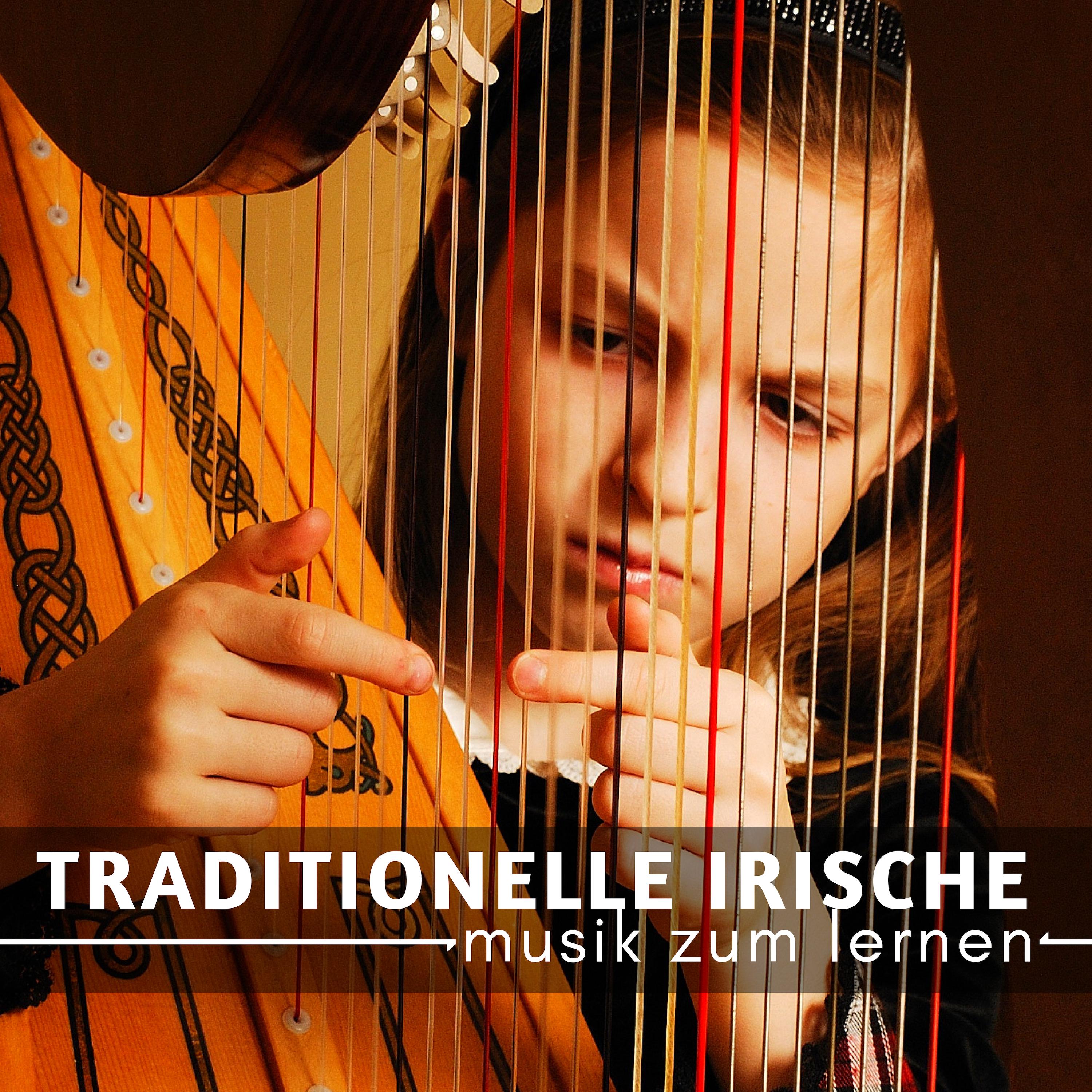 Traditionelle Irische Musik zum Lernen