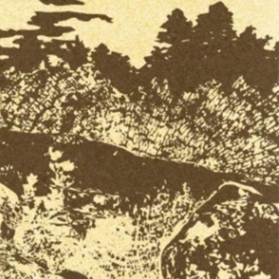 Weaver of Knowledge, Sower of Deceit