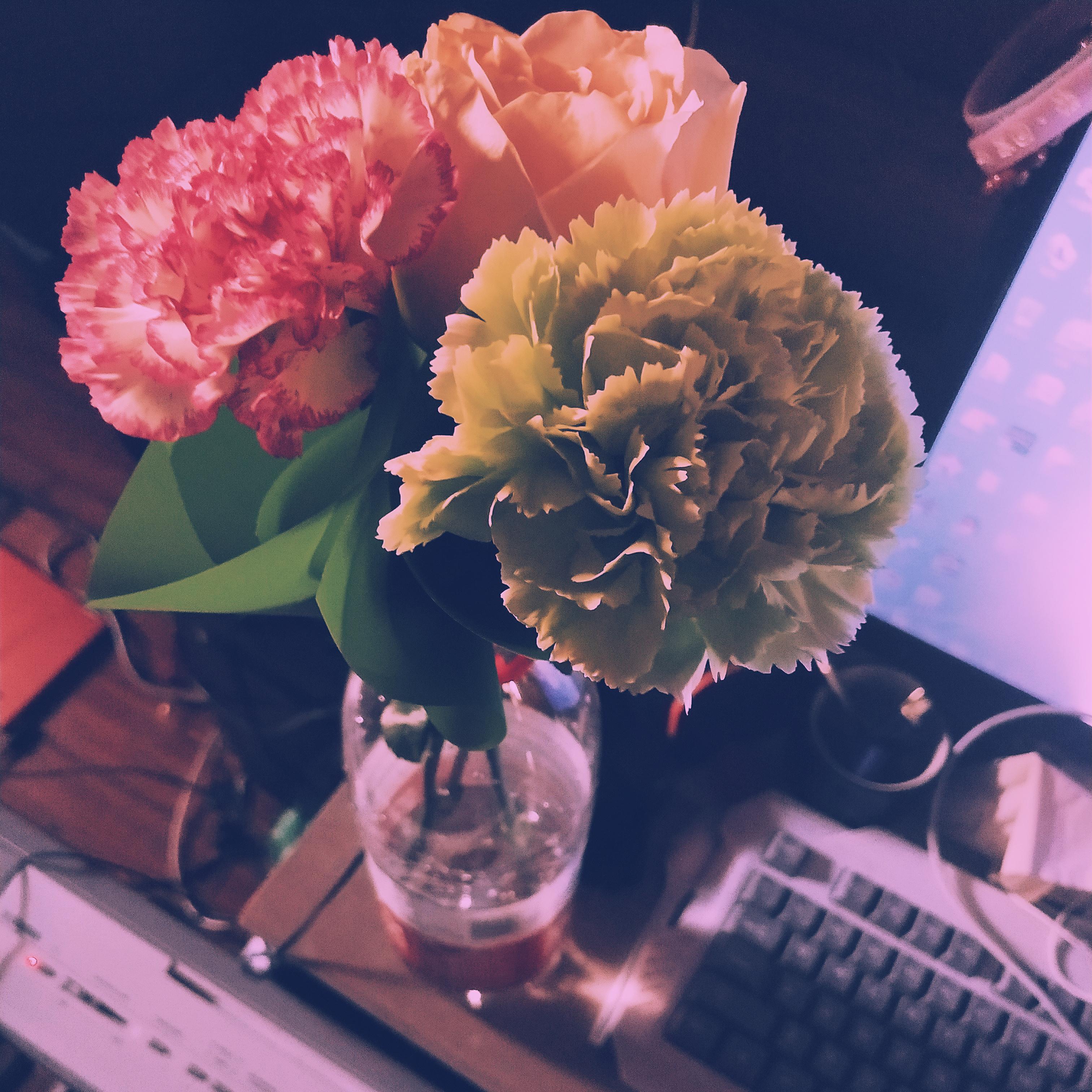 S.E.A.L / Infinite Cypher