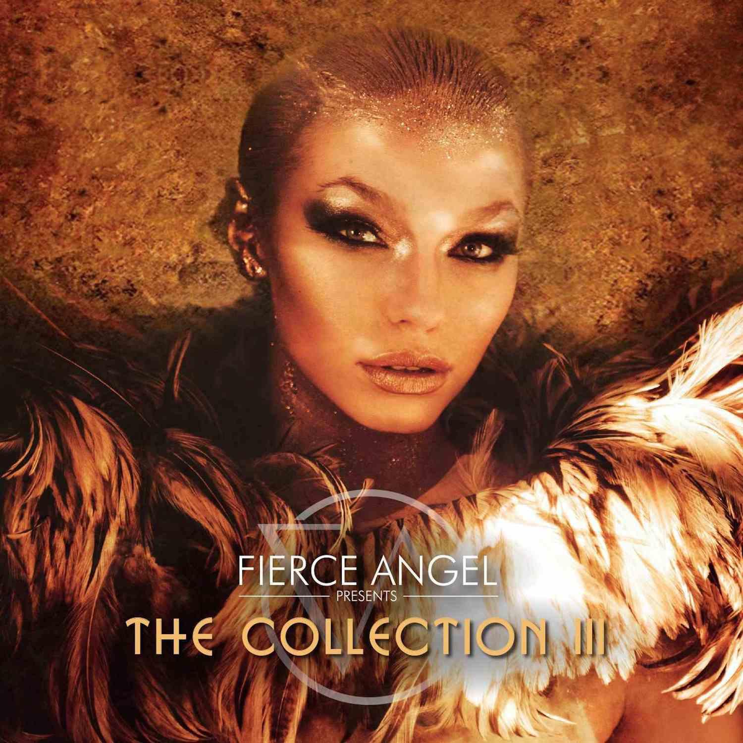 Fierce Angel Presents the Collection III (DJ Edition Unmixed)