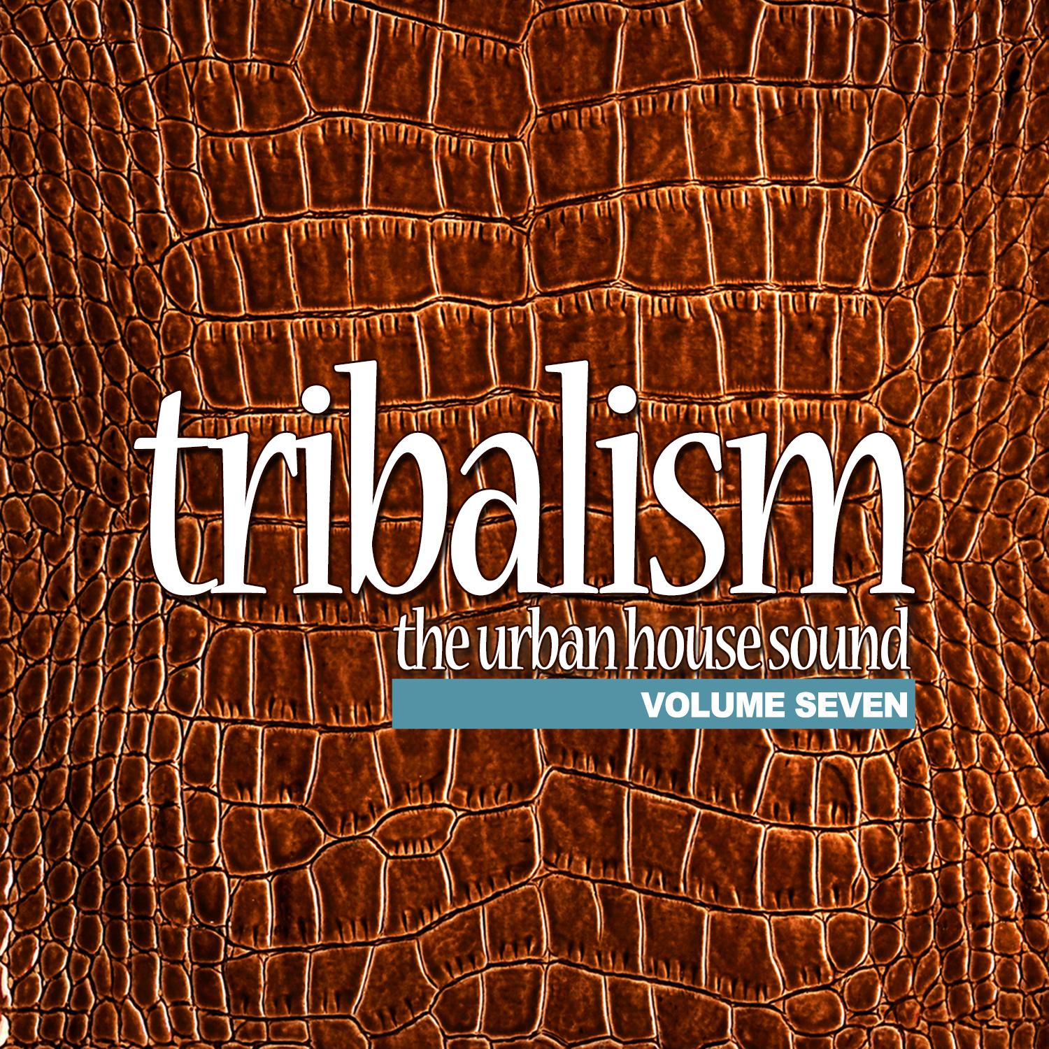 Tribalism, Vol. 7 - The Urban House Sound